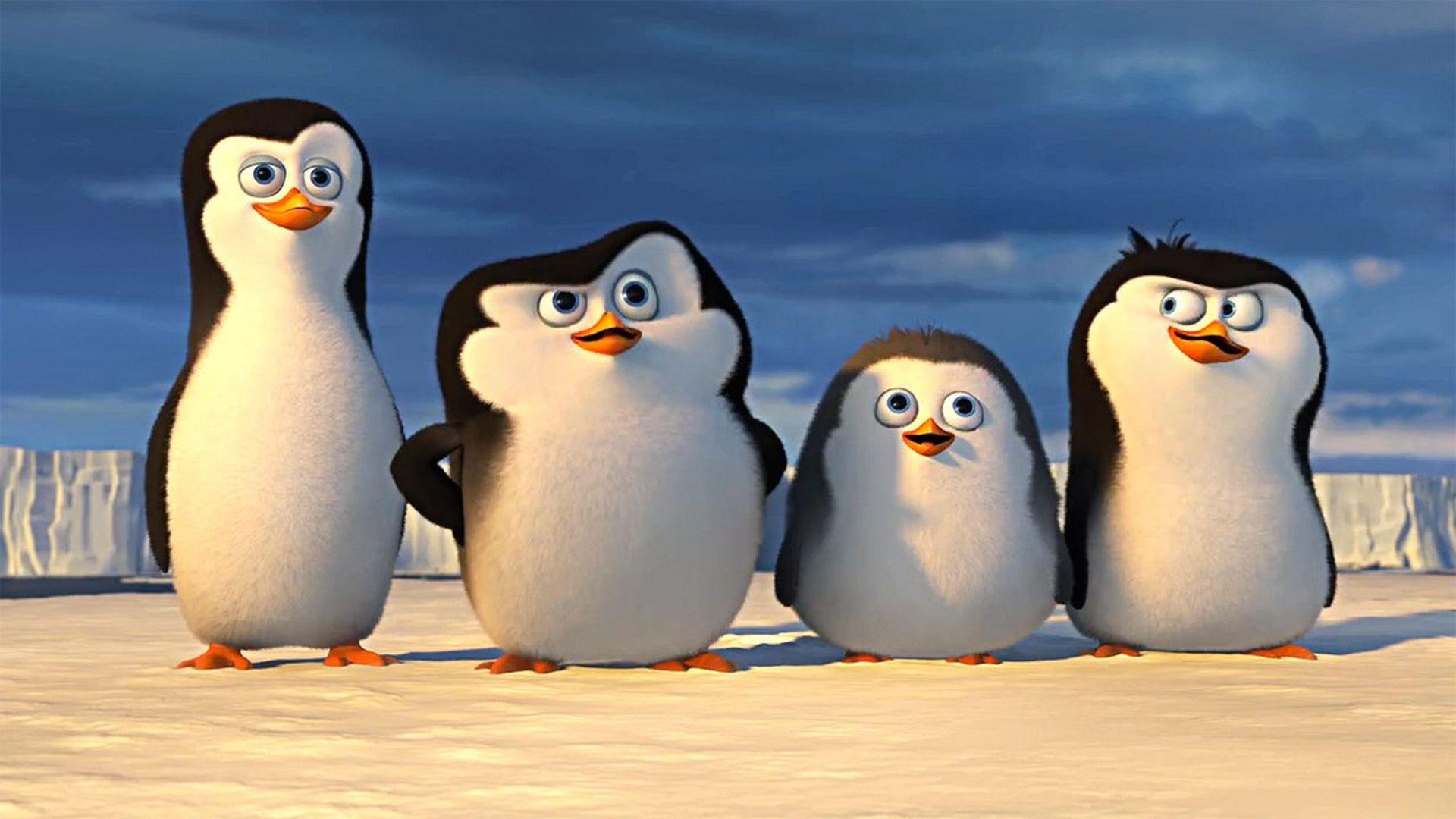 Penguins Of Madagascar Wallpapers Hd Download - Penguins Of Madagascar Helen - HD Wallpaper 