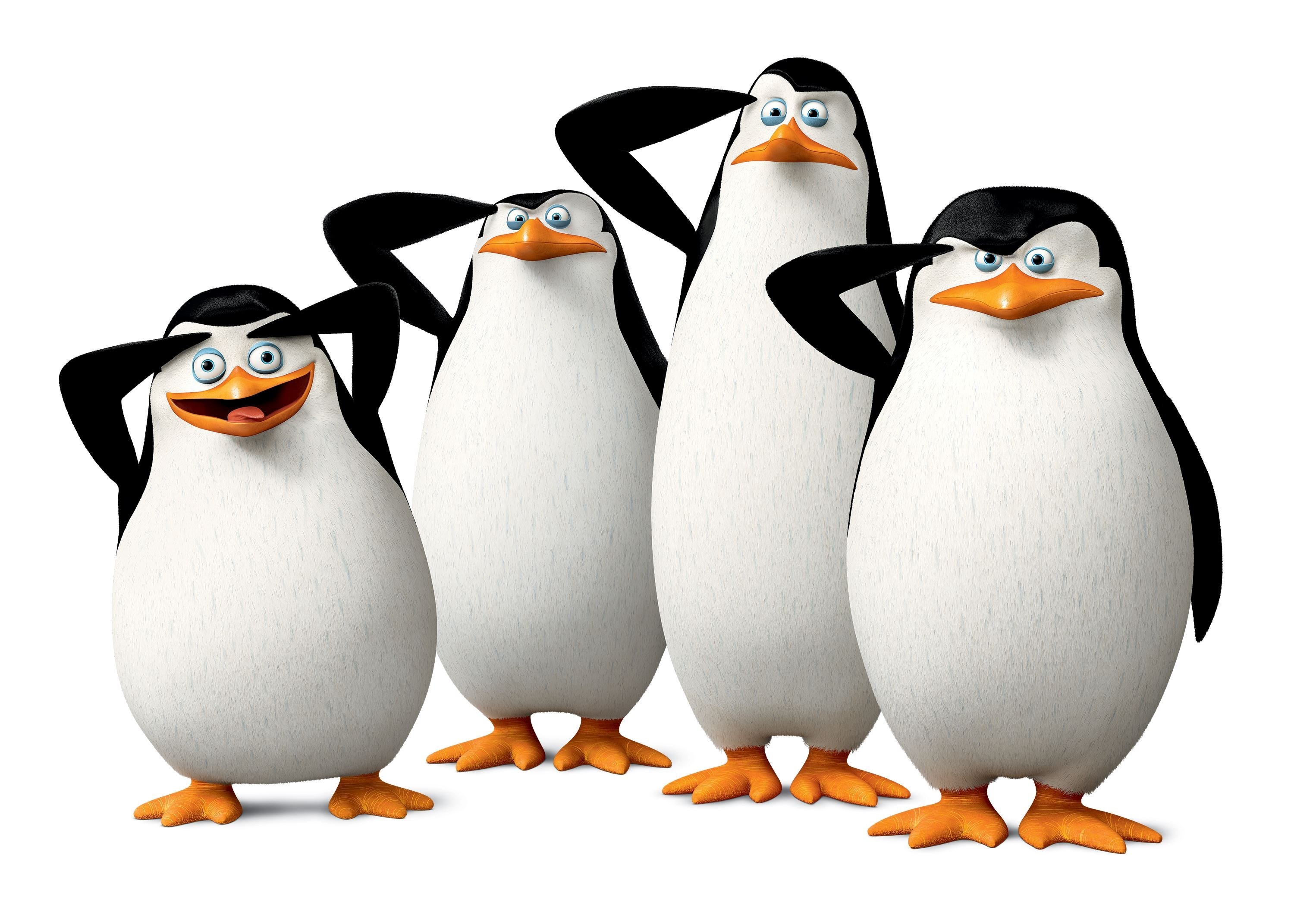 Penguins Of Madagascar Wallpaper For Large Desktop - Penguins Of Madagascar - HD Wallpaper 
