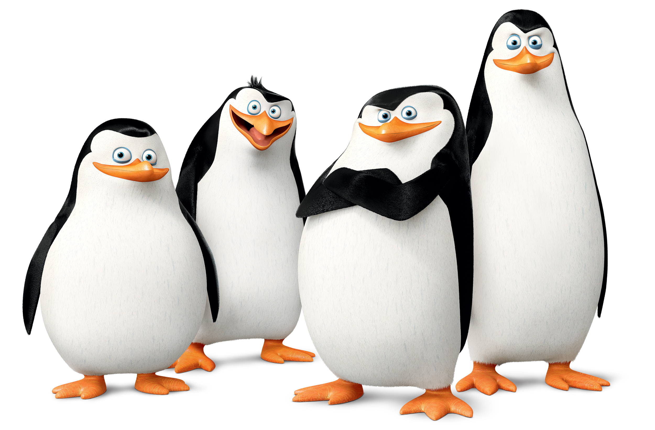 Madagascar Penguins Png Images Free Download - Madagascar Penguins Png - HD Wallpaper 