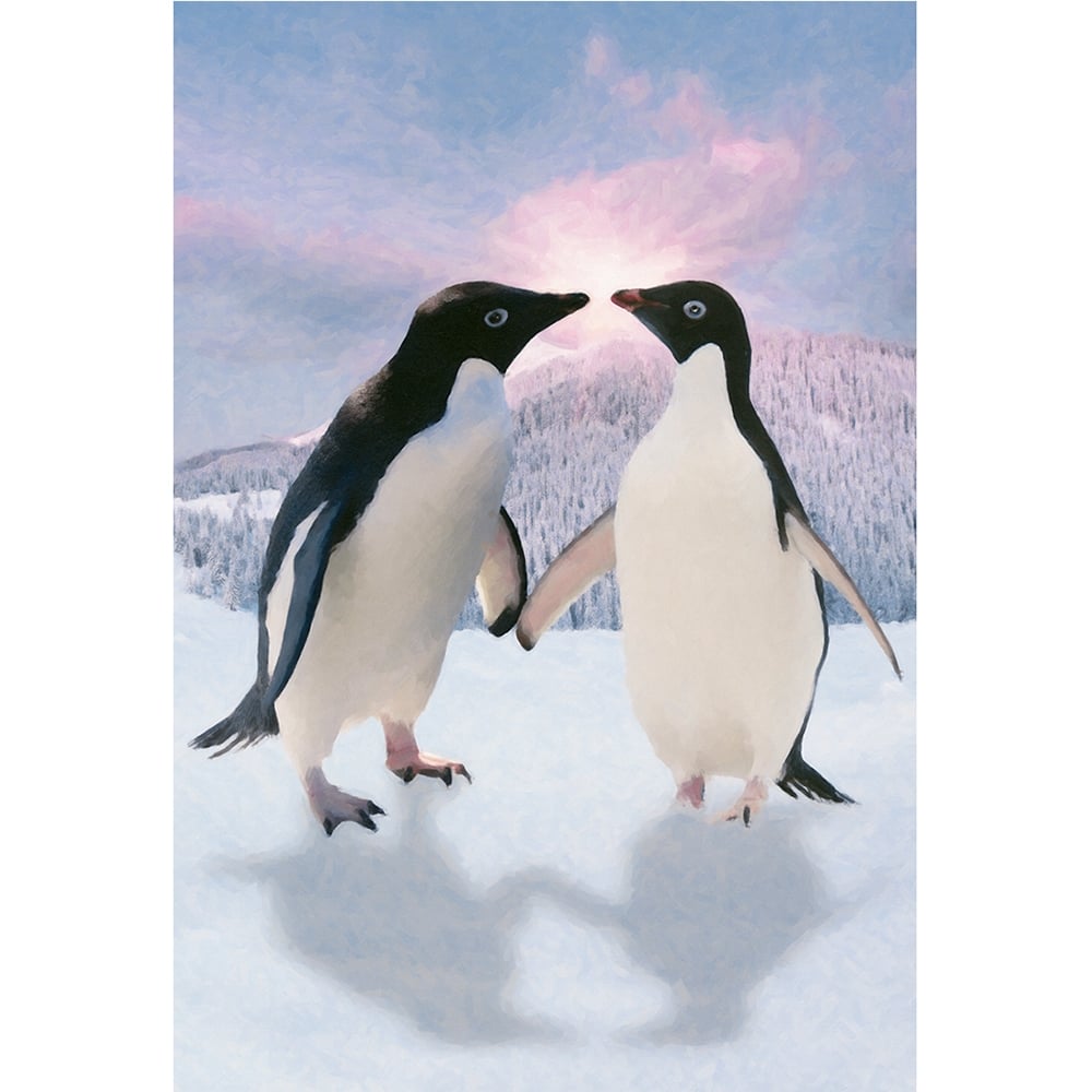 Pinguin Tapete - HD Wallpaper 