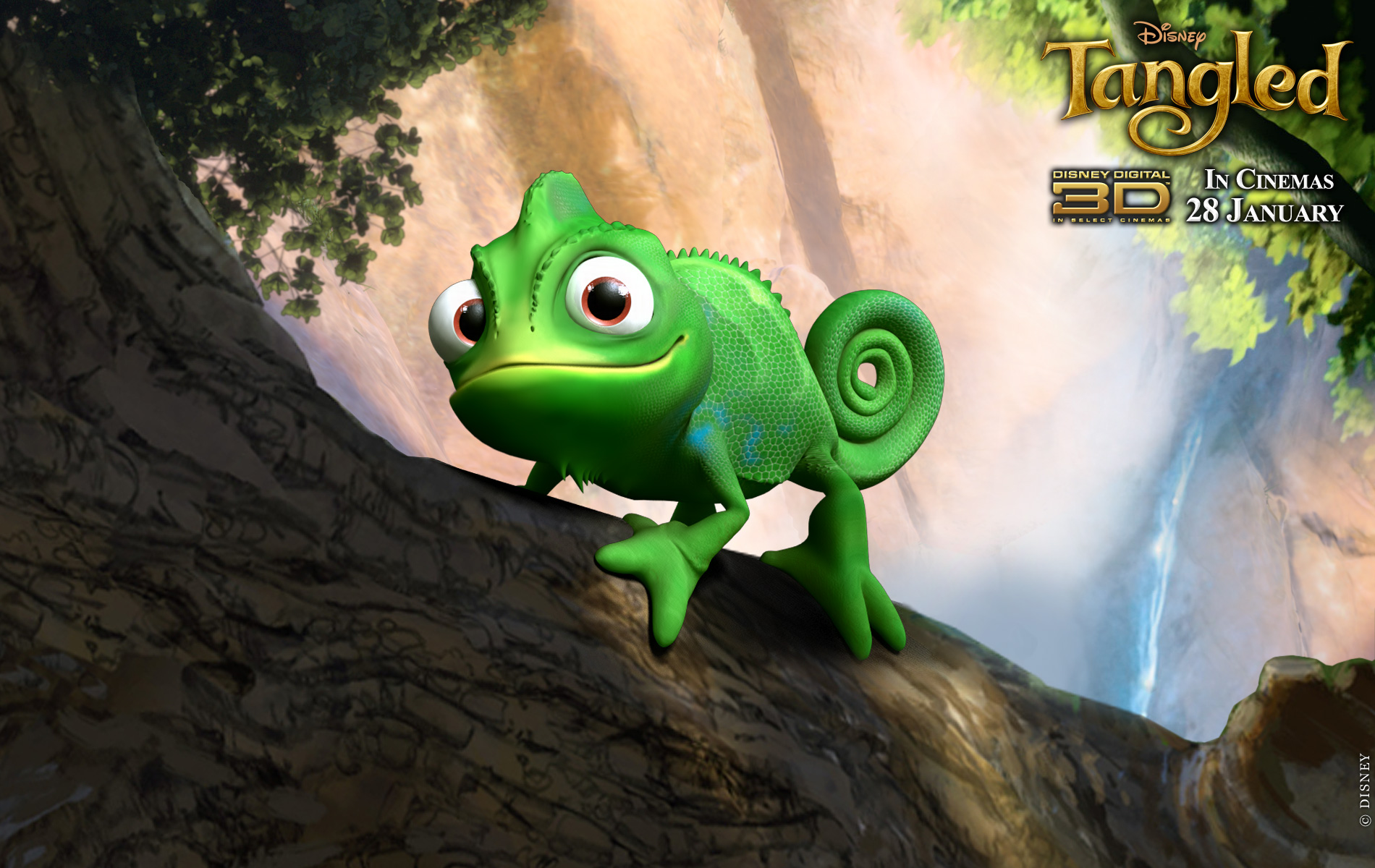 Pascal Tangled Cute - HD Wallpaper 