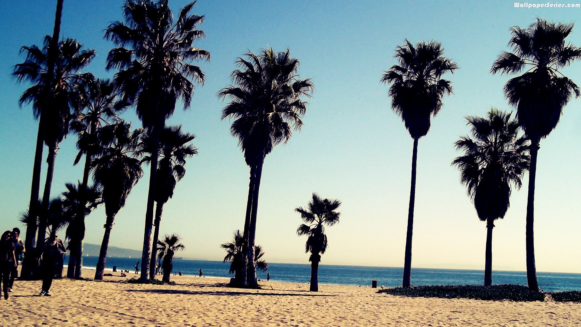 The Beach In California, On The Desktop John Carter, - Venice Beach Background - HD Wallpaper 
