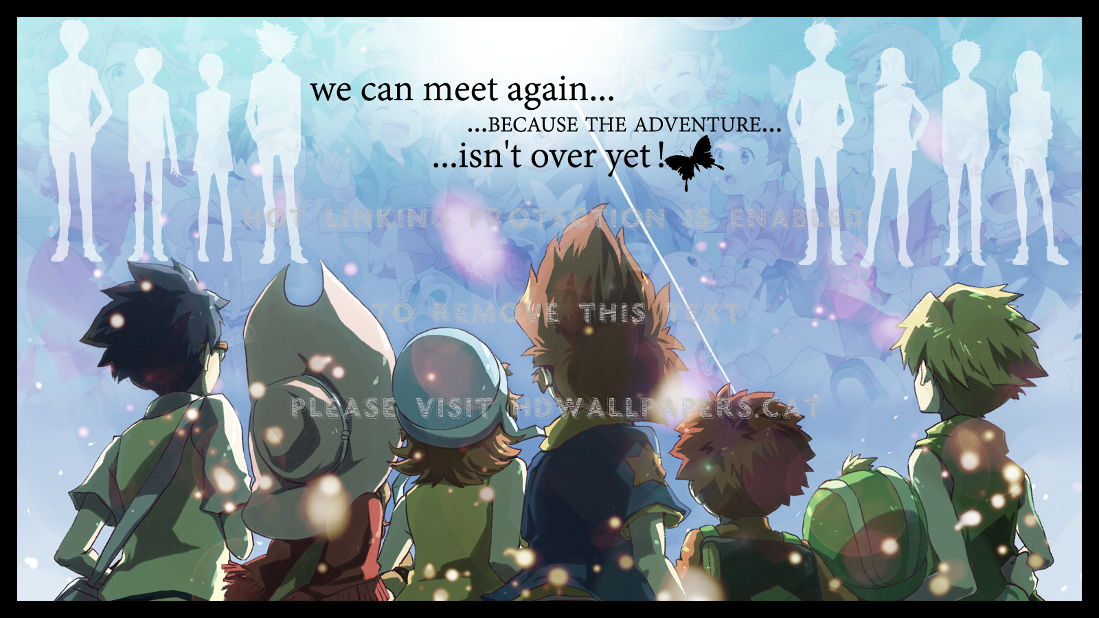 Digimon Adventure Sora Matt Tai Tk Future - Digimon Adventure Mimi E Taichi - HD Wallpaper 