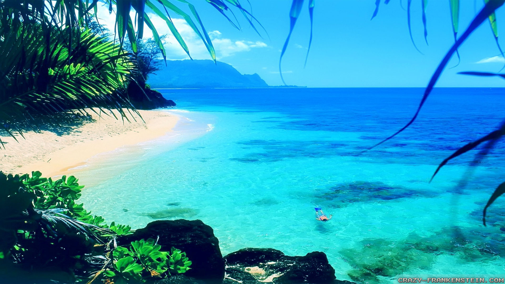 Summer Wallpaper For A Computer - HD Wallpaper 