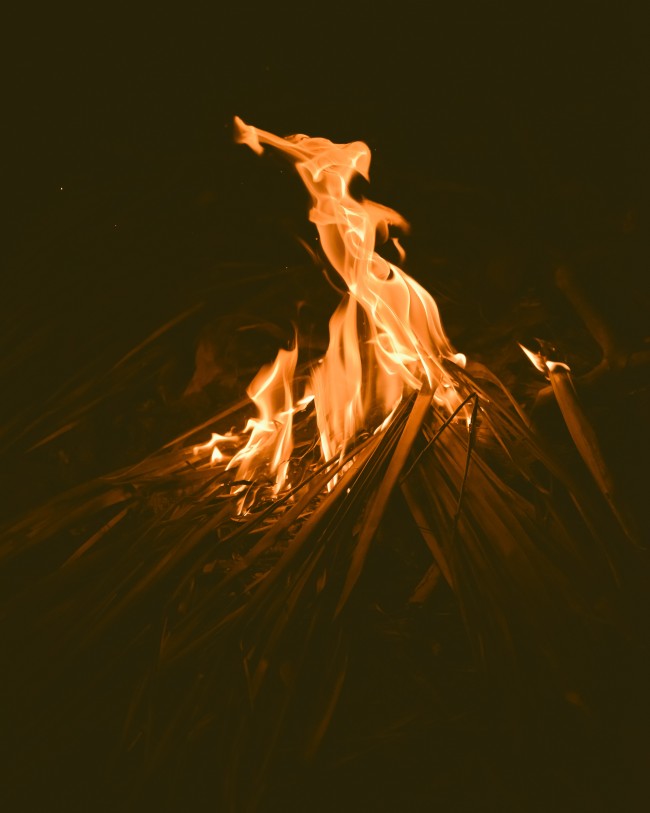 Flames, Bonfire, Wood, Night - Wallpaper - HD Wallpaper 