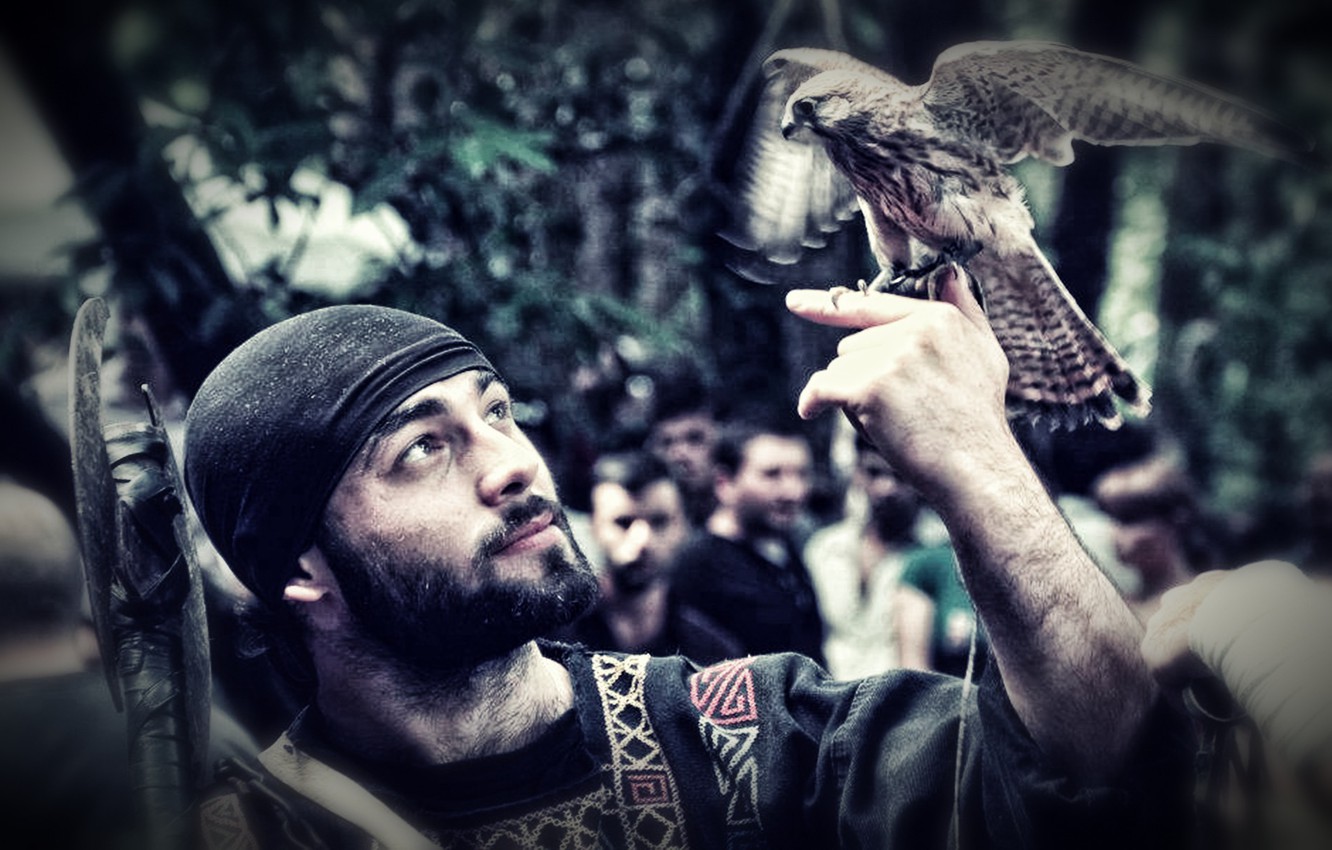 Photo Wallpaper Georgian, Black Shield, Undefeated - Georgia - HD Wallpaper 