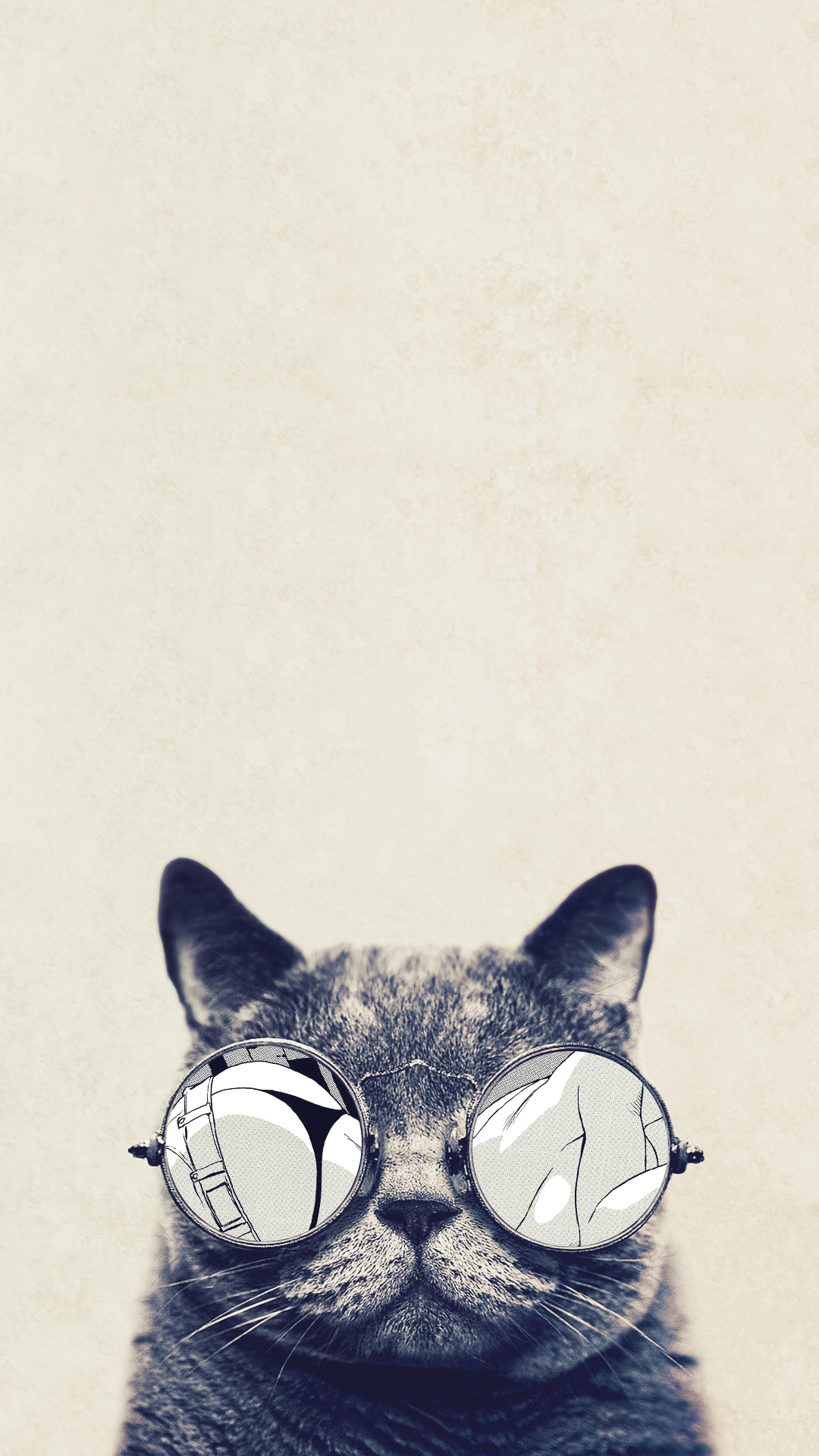 Cool Cat Glasses Iphone 6 Plus Hd Wallpaper - Cat Wallpaper Iphone 6s - HD Wallpaper 