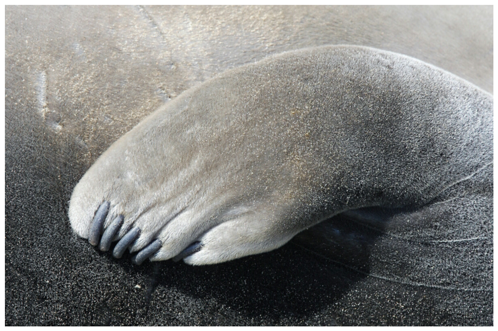 Wallpaper - HD Wallpaper 