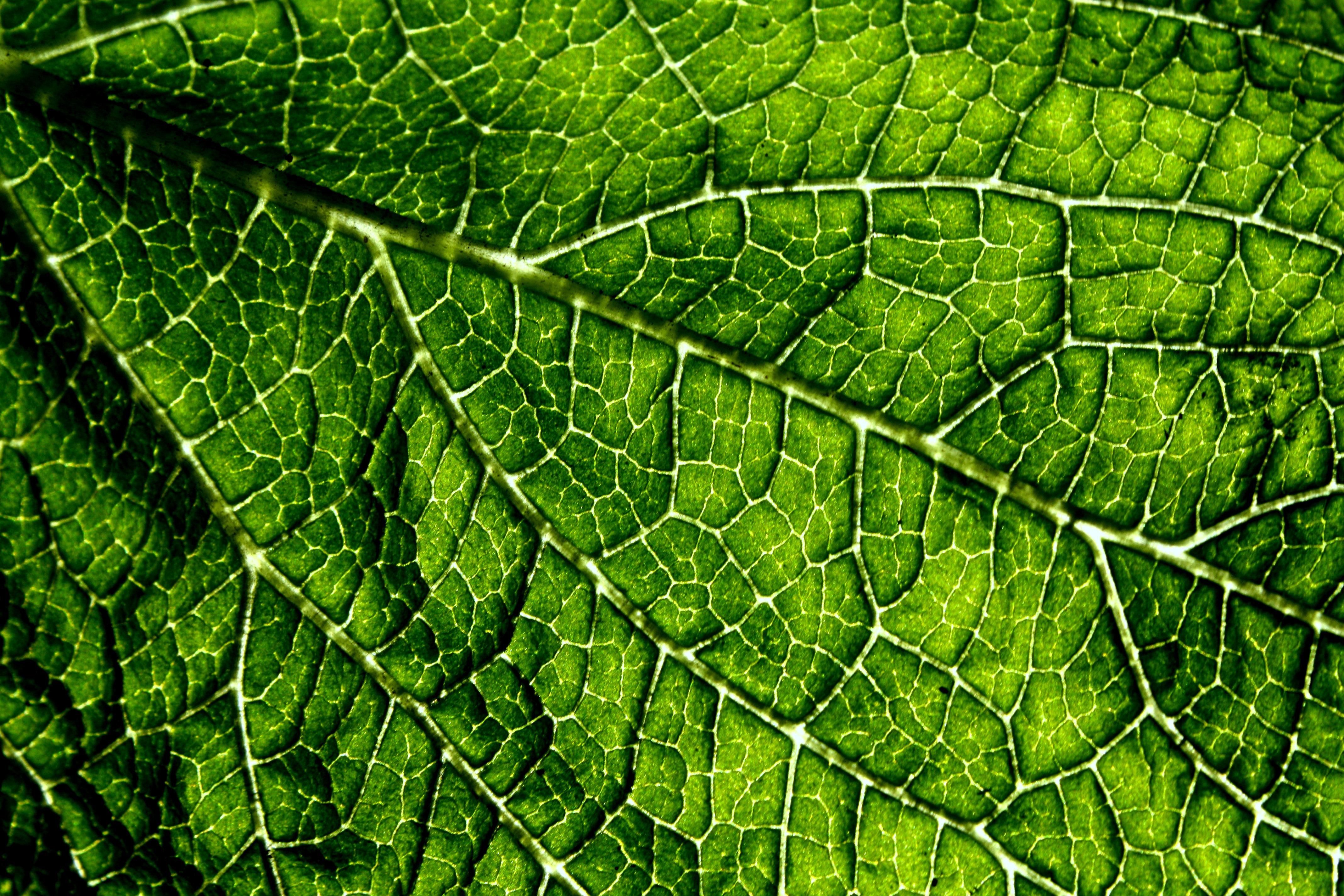 Cool Wallpapers Dr - HD Wallpaper 