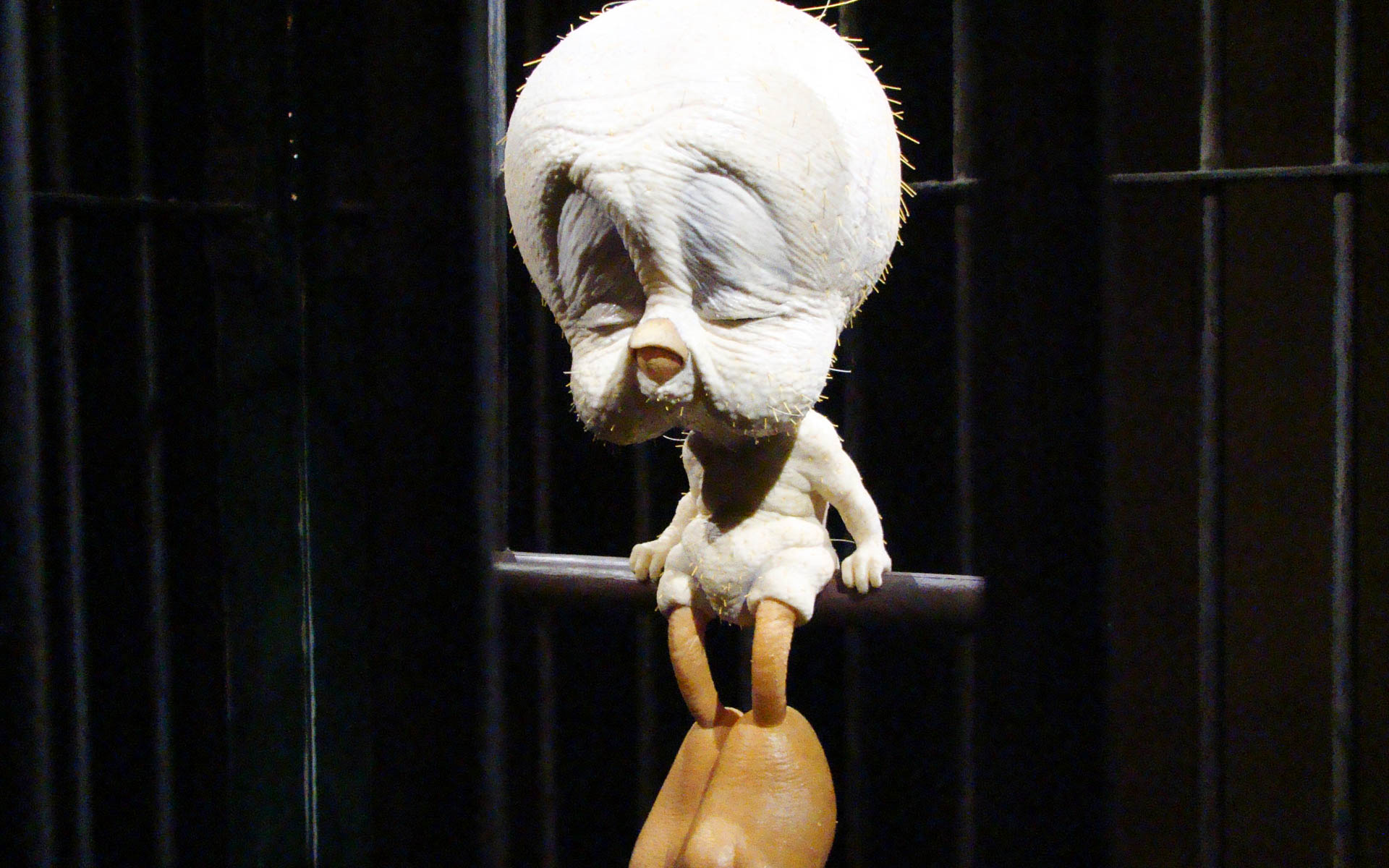 Carving - HD Wallpaper 