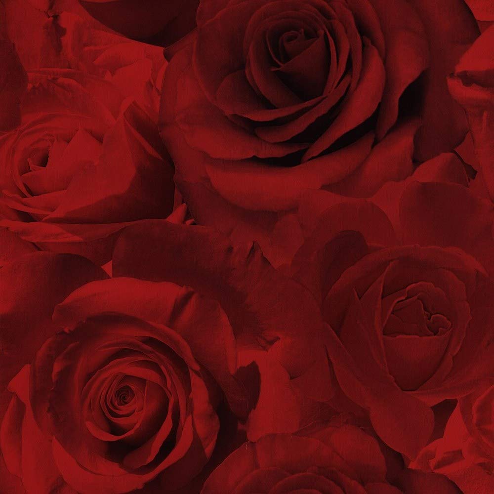 Garden Roses - HD Wallpaper 