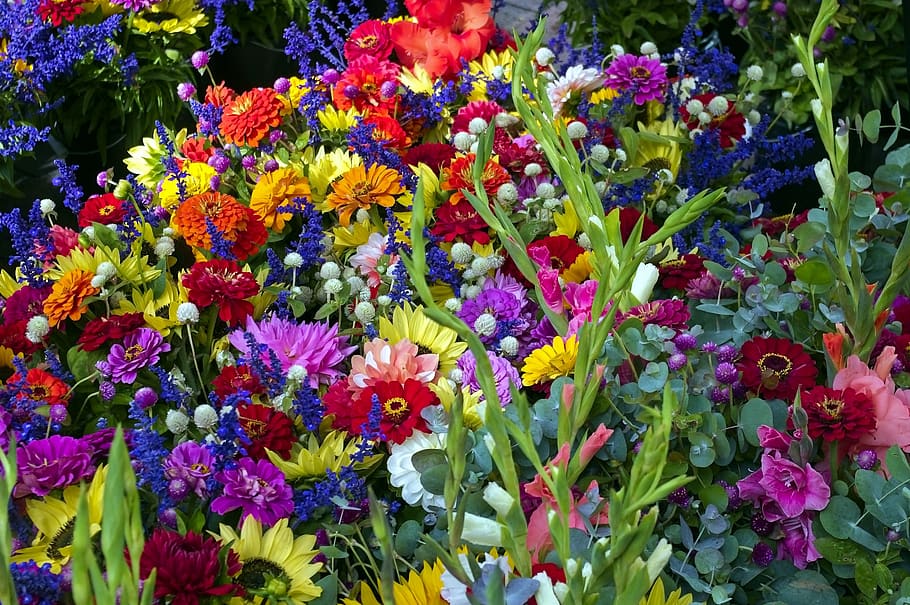 Madison Market Mixed Flowers, Sunflowers, Dane County - Mixed Flowers Green - HD Wallpaper 