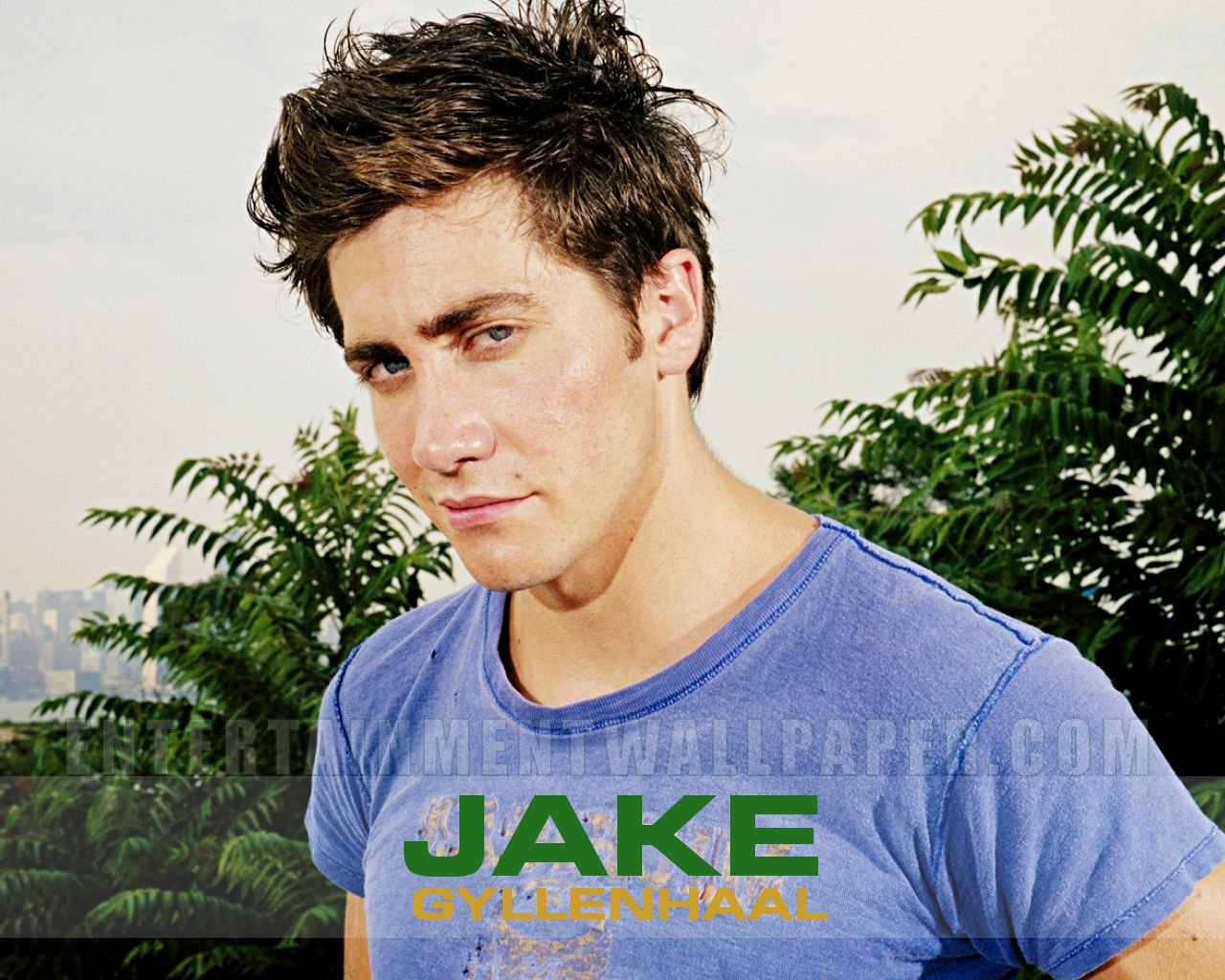 Jake Gyllenhaal - HD Wallpaper 