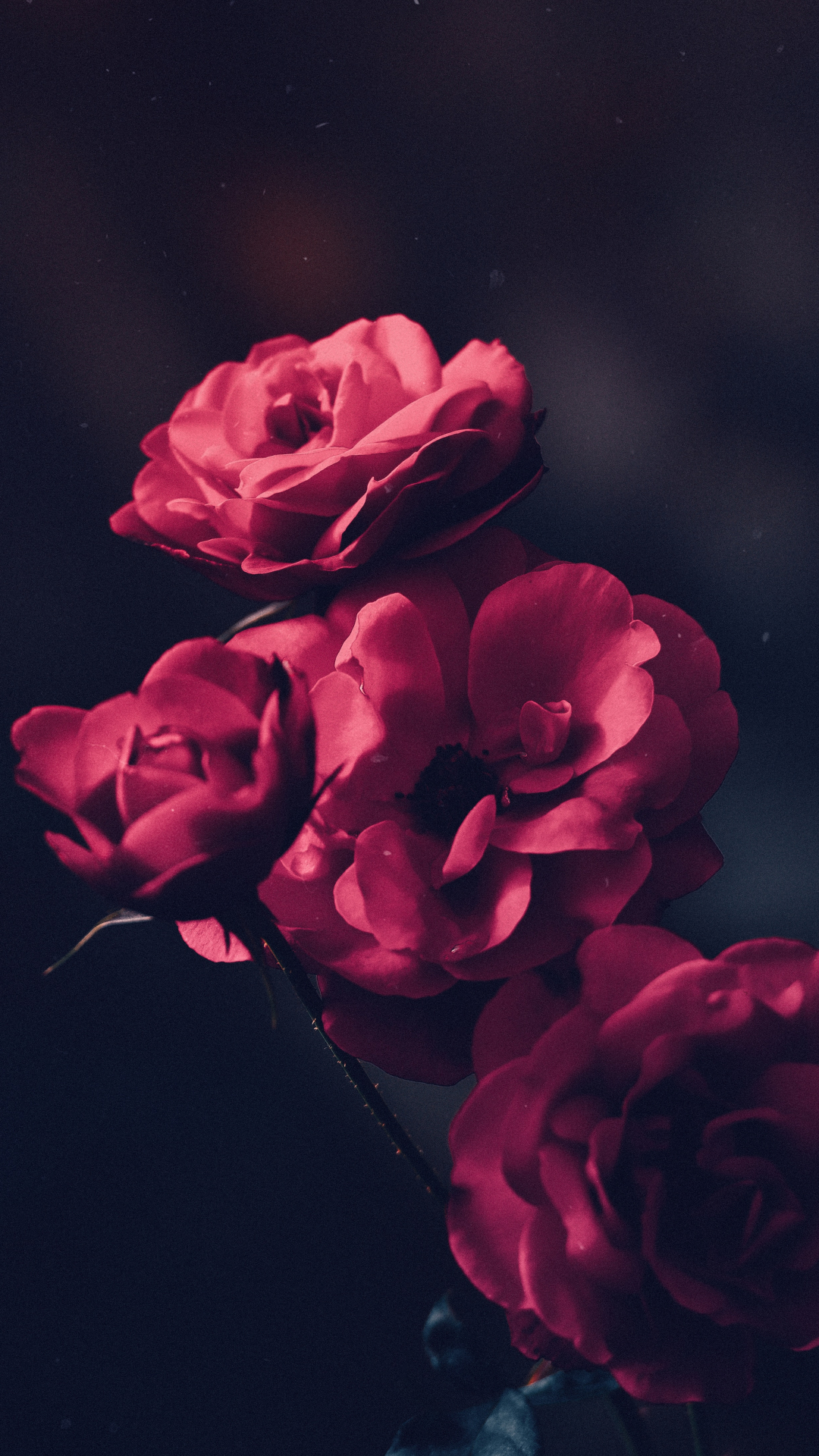 Farewell Darkness Iphone Wallpaper - Beautiful Wallpapers For Phone - 1080x1920 Wallpaper Farewell Darkness Iphone Wallpaper - Beautiful Wallpapers For Phone - 1080x1920 Wallpaper