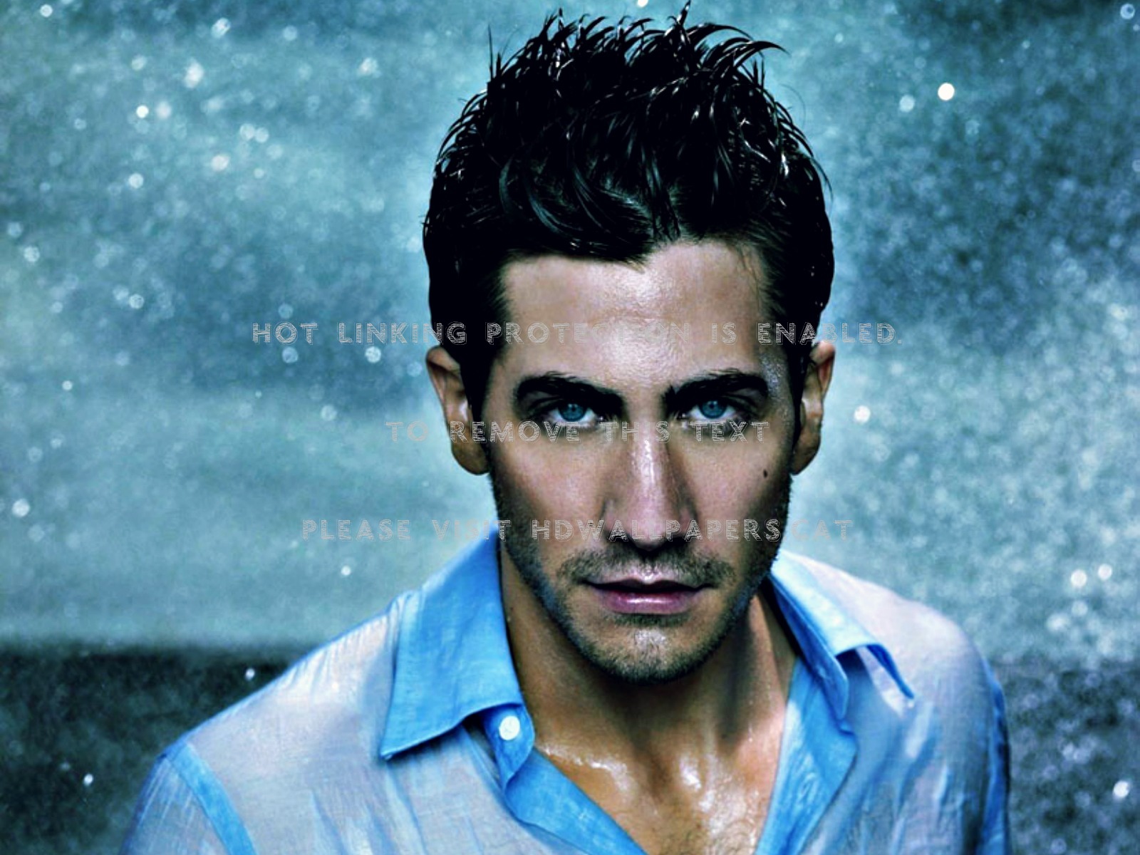 Jake Gyllenhaal Wet Blue Man Actor People - Jake Gyllenhaal Y Taylor Swift - HD Wallpaper 