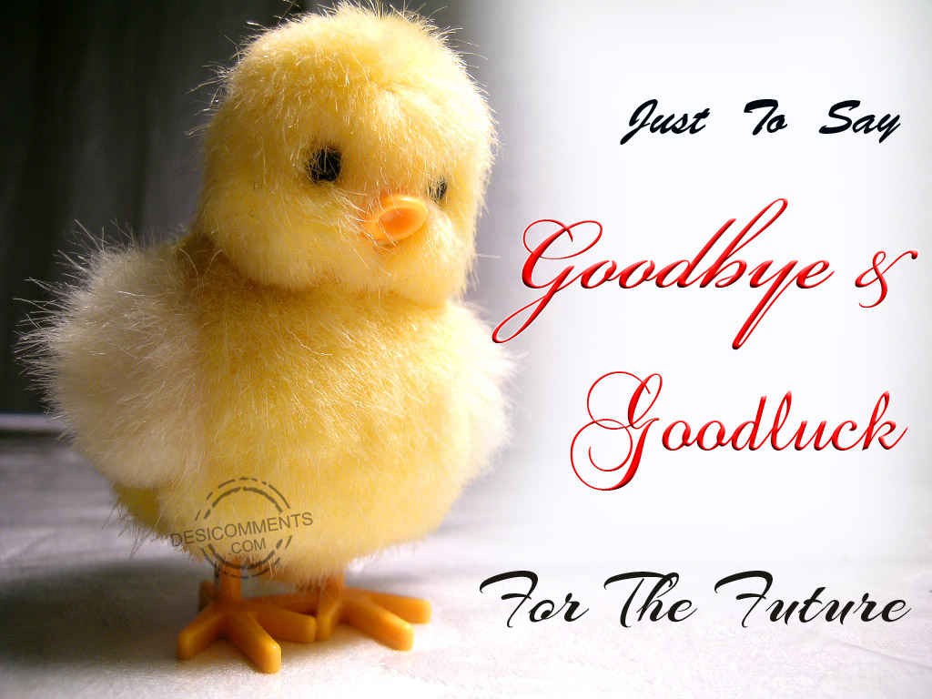 Saying Goodbye Quotes Hd Wallpaper - Good Luck With The Future - HD Wallpaper 
