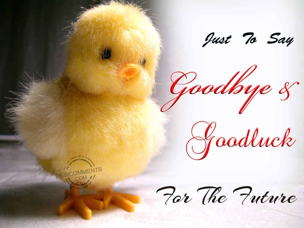 Saying Goodbye Quotes Hd Wallpaper - Good Luck With The Future - HD Wallpaper 