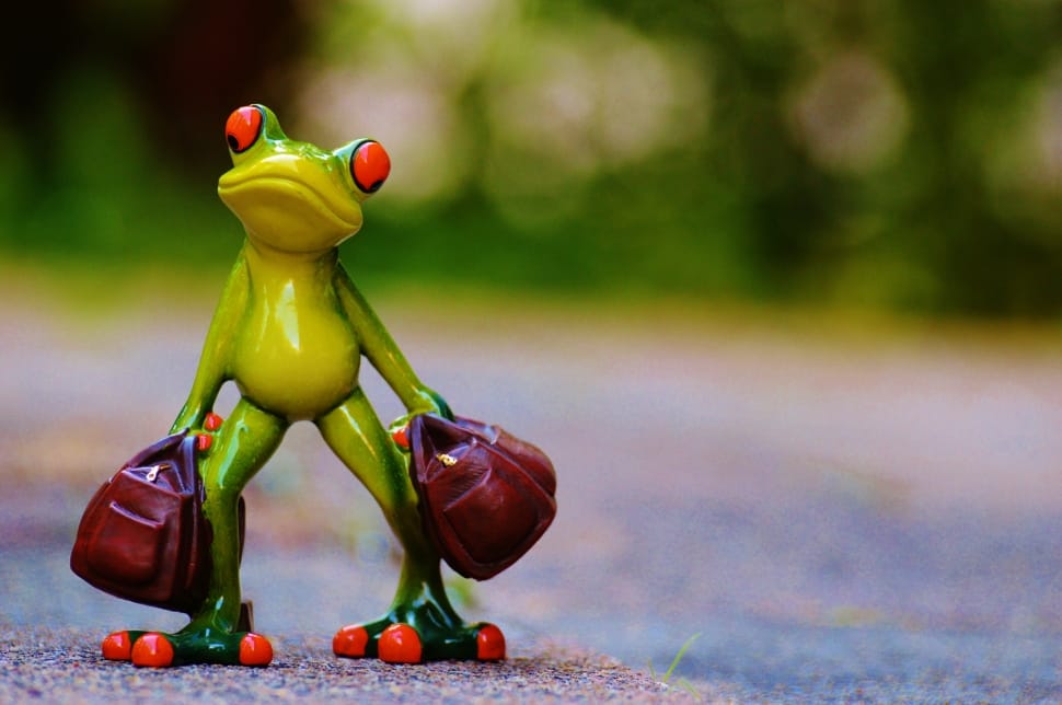 Travel, Farewell, Frog, Time To Go, Food And Drink, - Farewell Frog - HD Wallpaper 