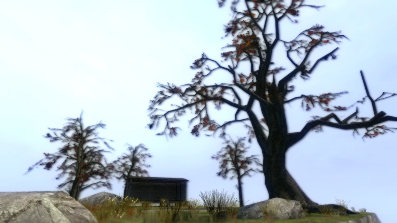 View Media - Shortleaf Black Spruce - HD Wallpaper 