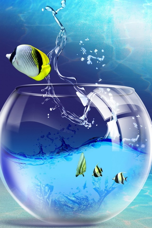 Lyf Mobile Wallpaper Download - 640x960 Wallpaper Lyf Mobile Wallpaper Download - 640x960 Wallpaper