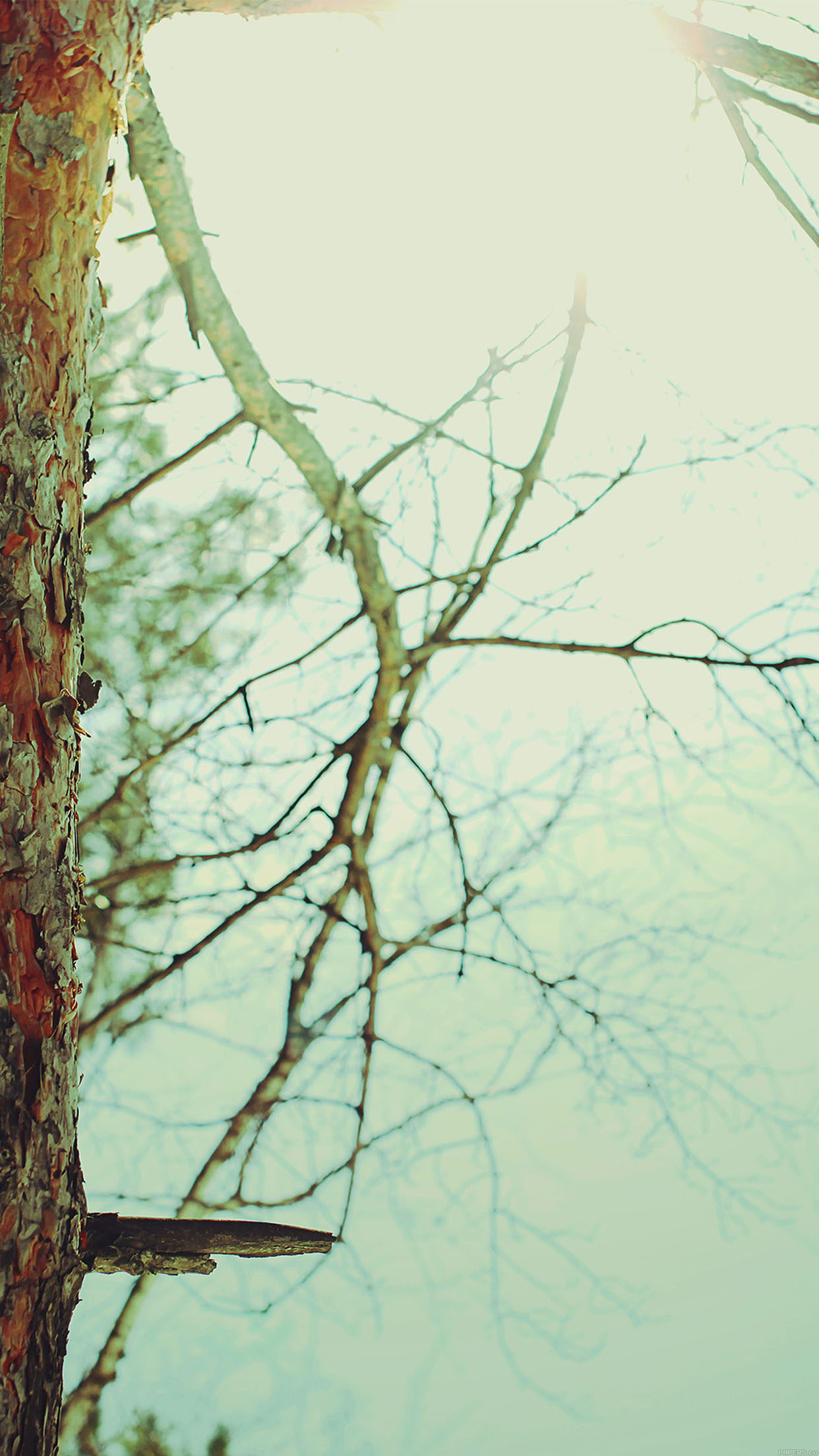 Iphone 5 Goodbye - HD Wallpaper 