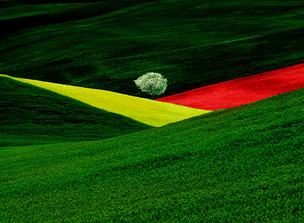 Franco Fontana Fotografo - HD Wallpaper 