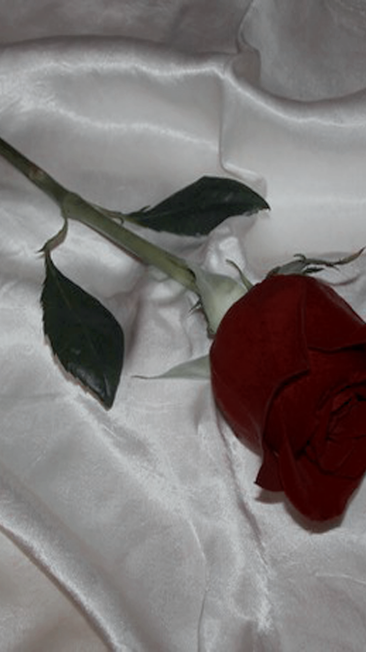 Like If Saving Bbys - HD Wallpaper 