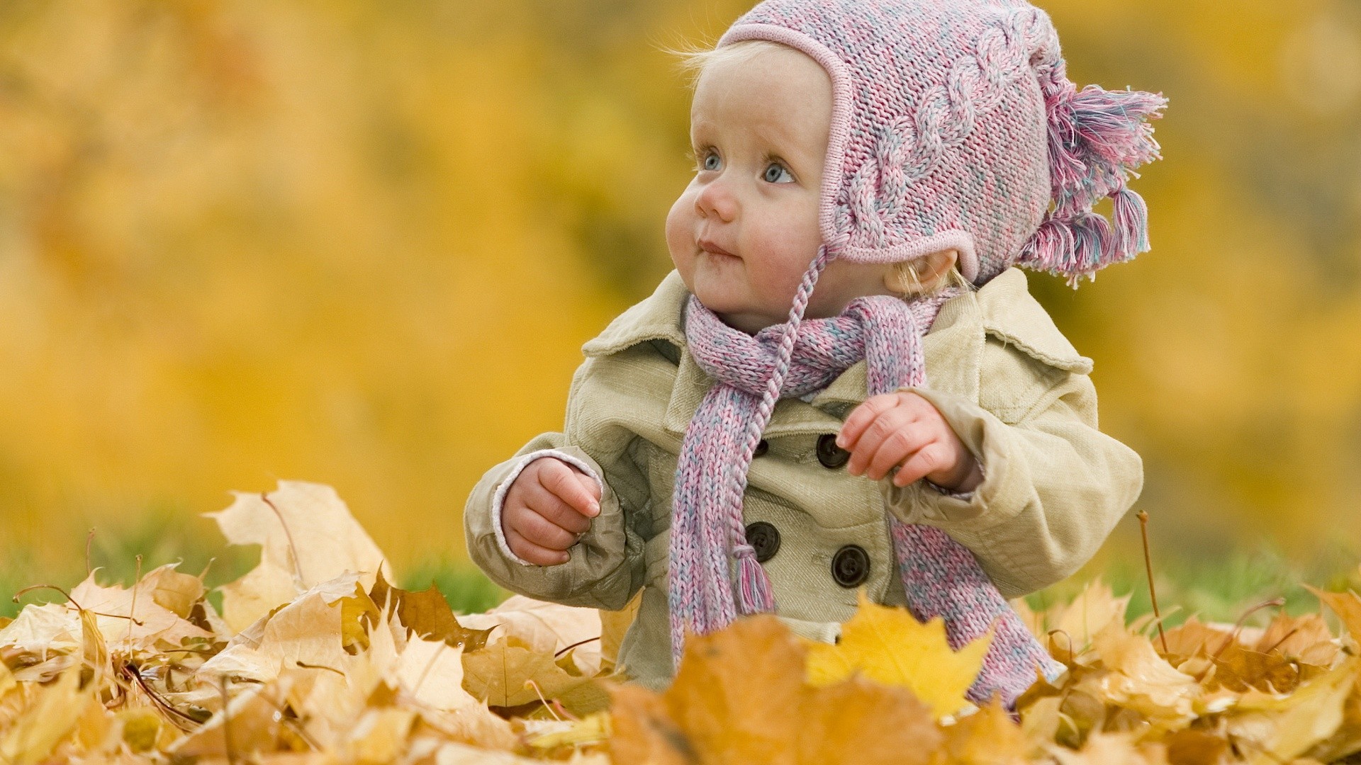 Google Image Result For Http - Autumn Baby - HD Wallpaper 