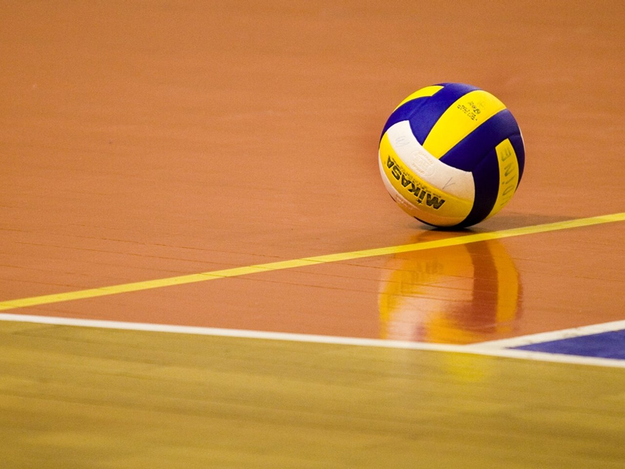 New Volleyball - HD Wallpaper 