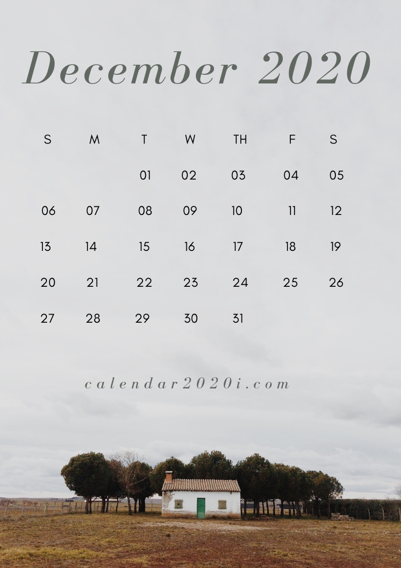 2020 Iphone Calendar Wallpaper - Iphone Wallpaper 2020 - HD Wallpaper 