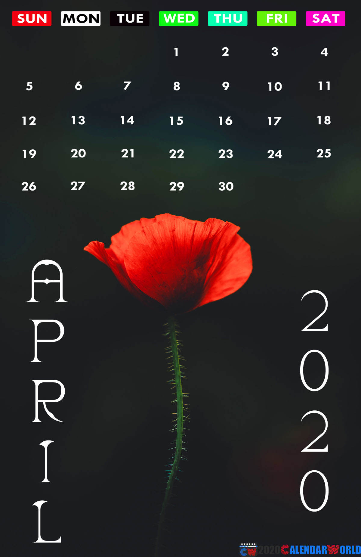 April 2020 Calendar Wallpaper Iphone - Oriental Poppy - HD Wallpaper 