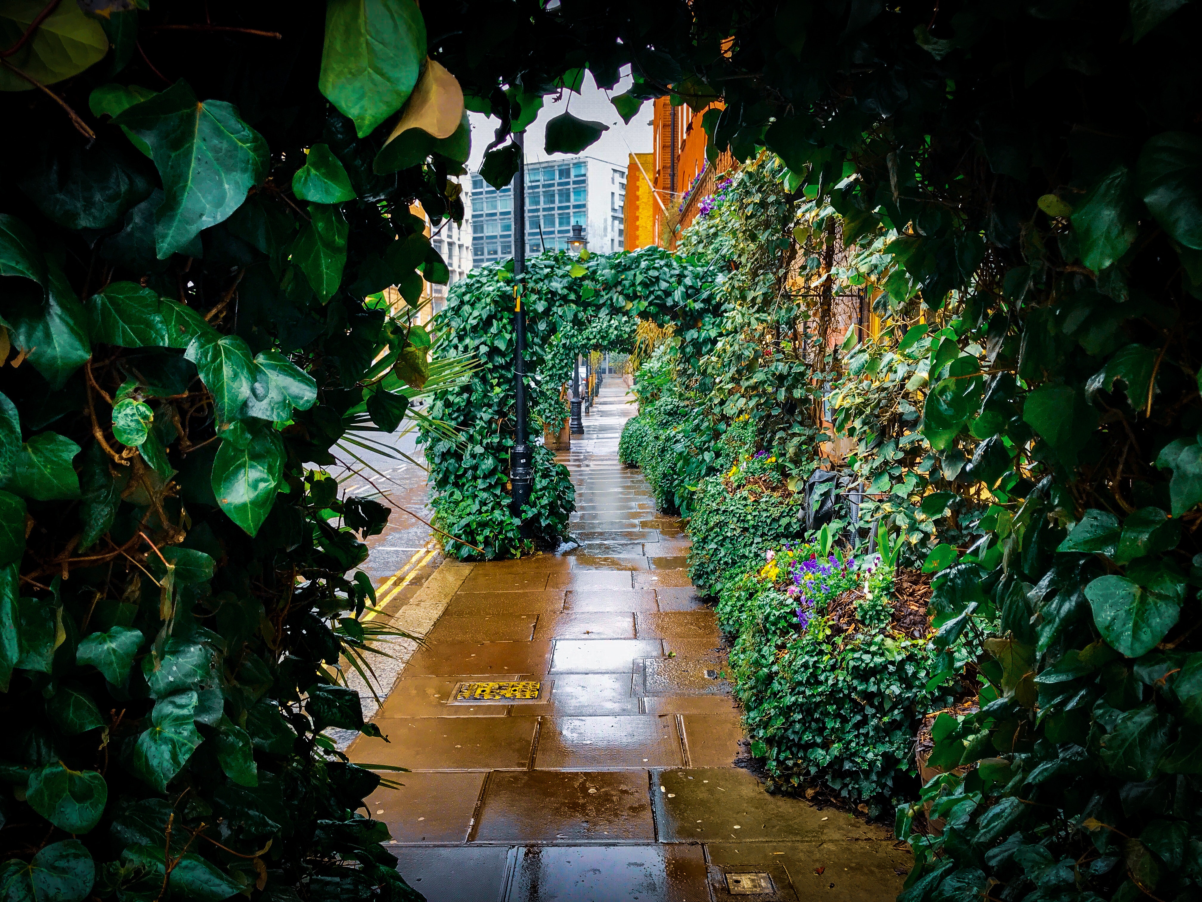 Botanical Garden - HD Wallpaper 