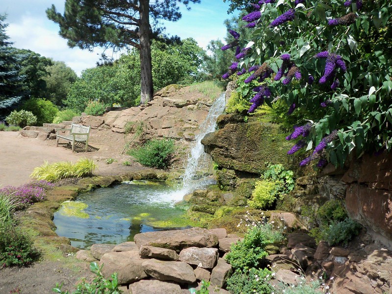 A Sunny Day At Ness Gardens Uk Wallpaper - Tributary - HD Wallpaper 