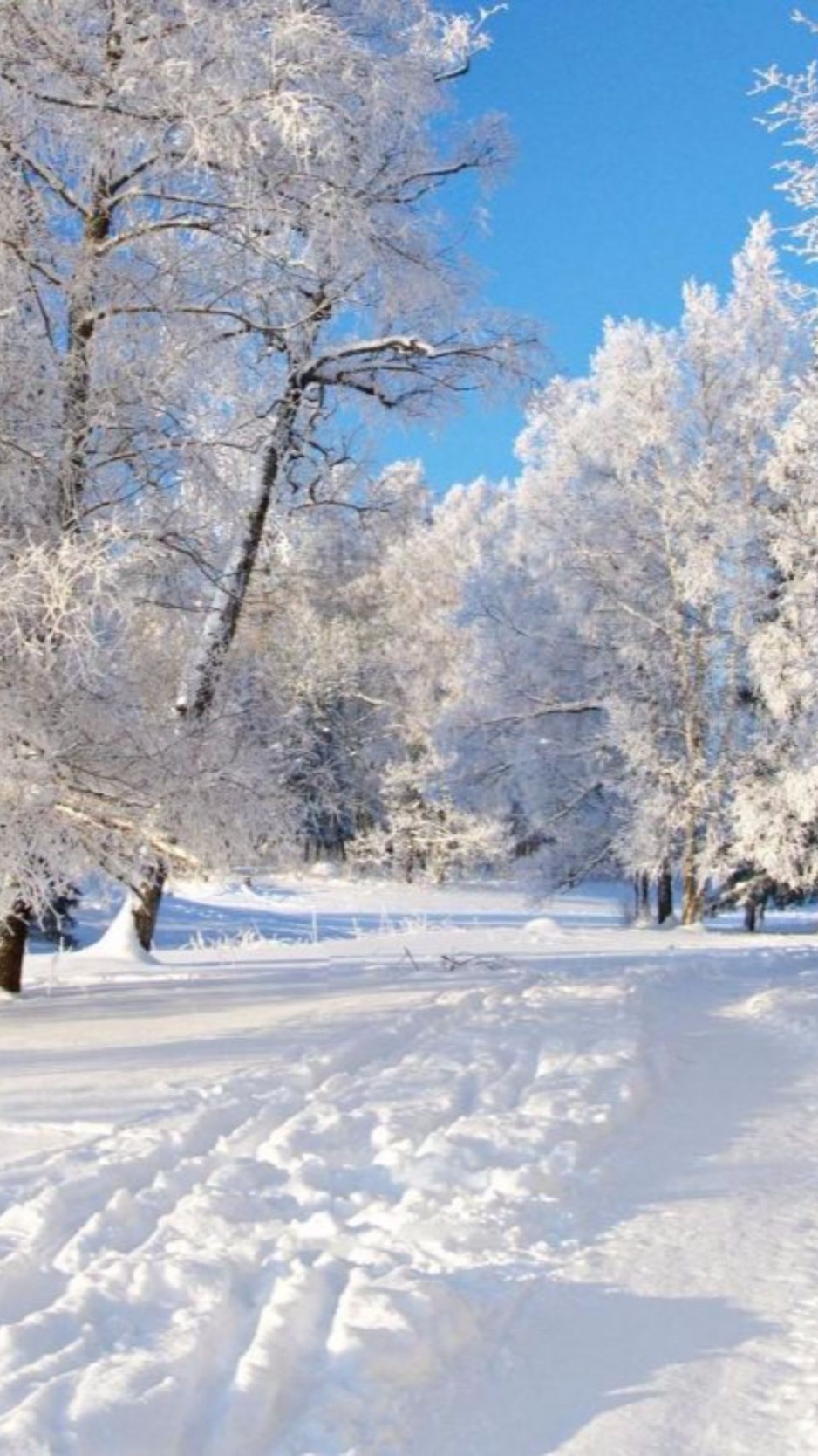 Snow Wallpaper For Tablet - HD Wallpaper 