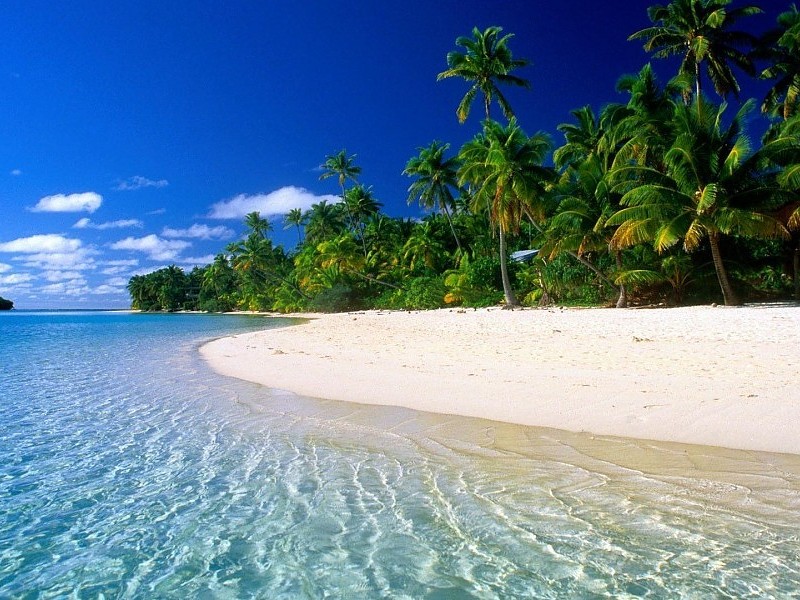 My Dream Beach Wallpaper - Tropical Beach - HD Wallpaper 