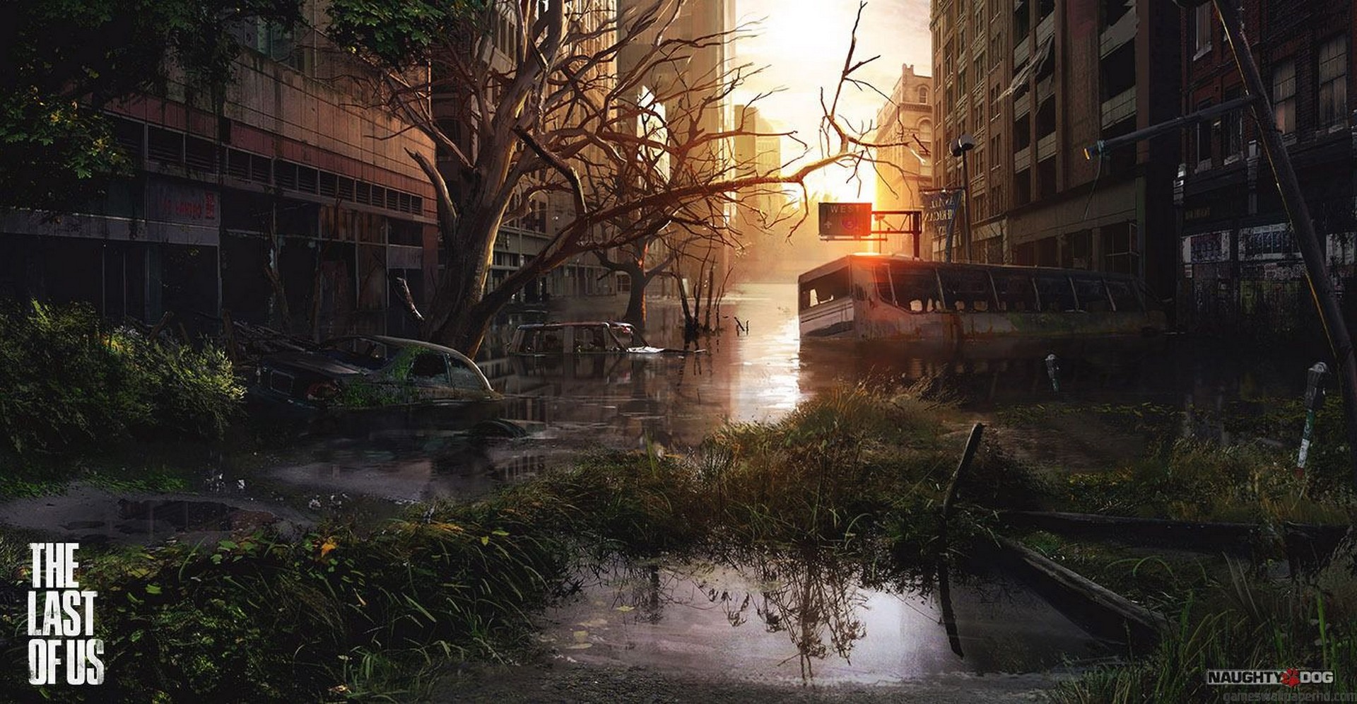 The Last Of Us Phone Wallpaper - 1920x996 Wallpaper The Last Of Us Phone Wallpaper - 1920x996 Wallpaper