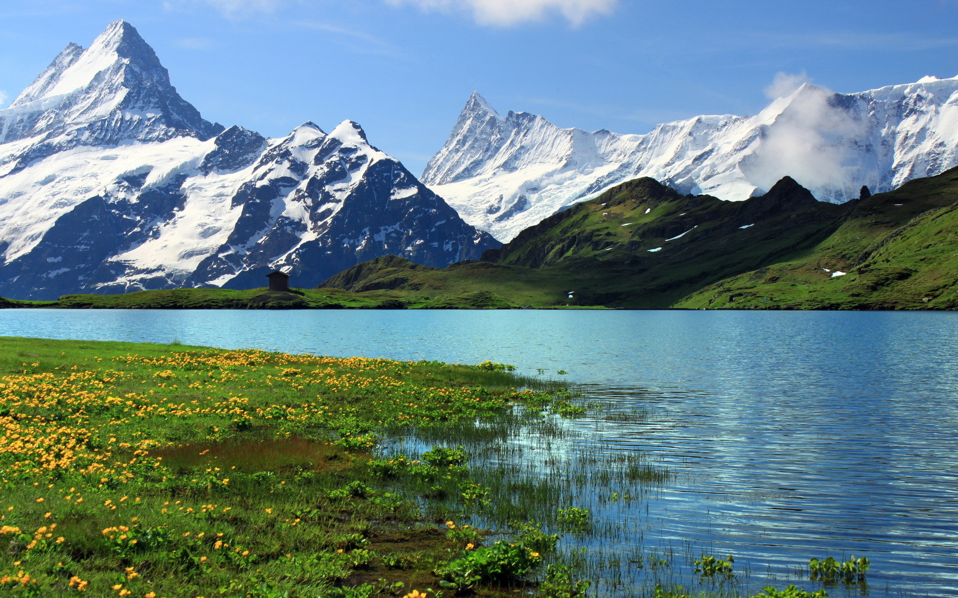 Switzerland Wallpaper - Bachalpsee - HD Wallpaper 