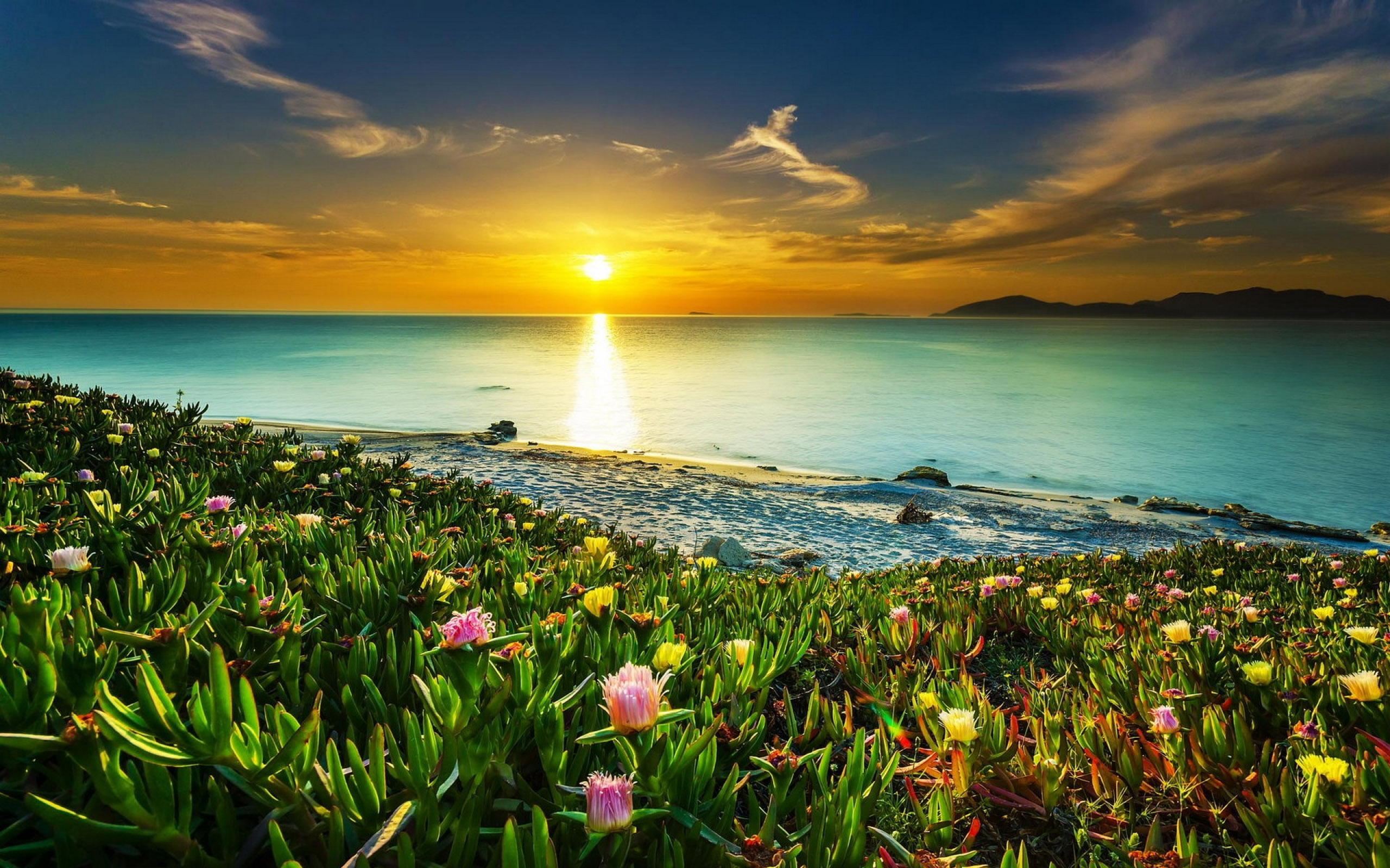 Flowers With Ocean Background - HD Wallpaper 