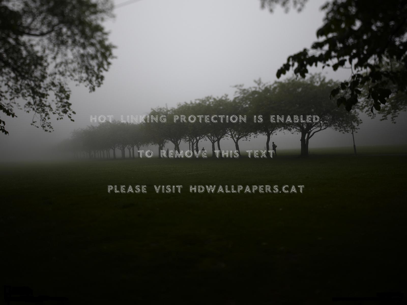 Paisagem Preto & Branco Natureza Arvores - Meadows Paths Edinburgh - HD Wallpaper 