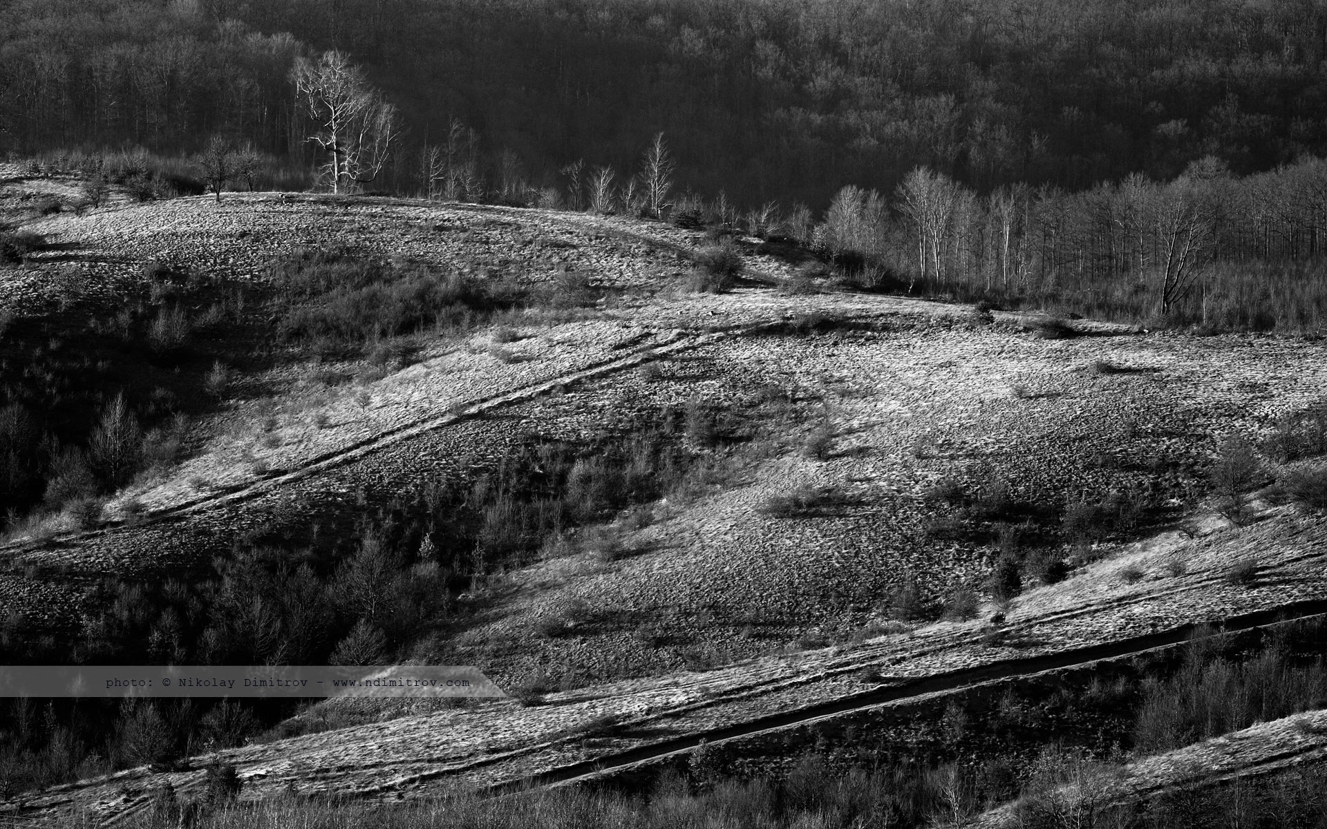 Leaf Aptus 22 Landscape - HD Wallpaper 