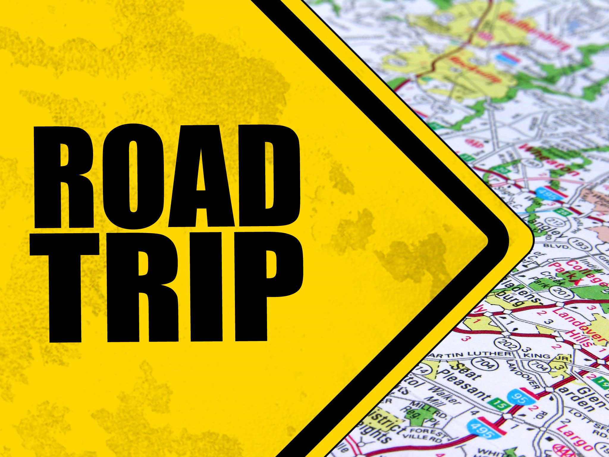 Is Your Zipair Dream Trip Coming Soon? Find Out Now! - tn30ave
