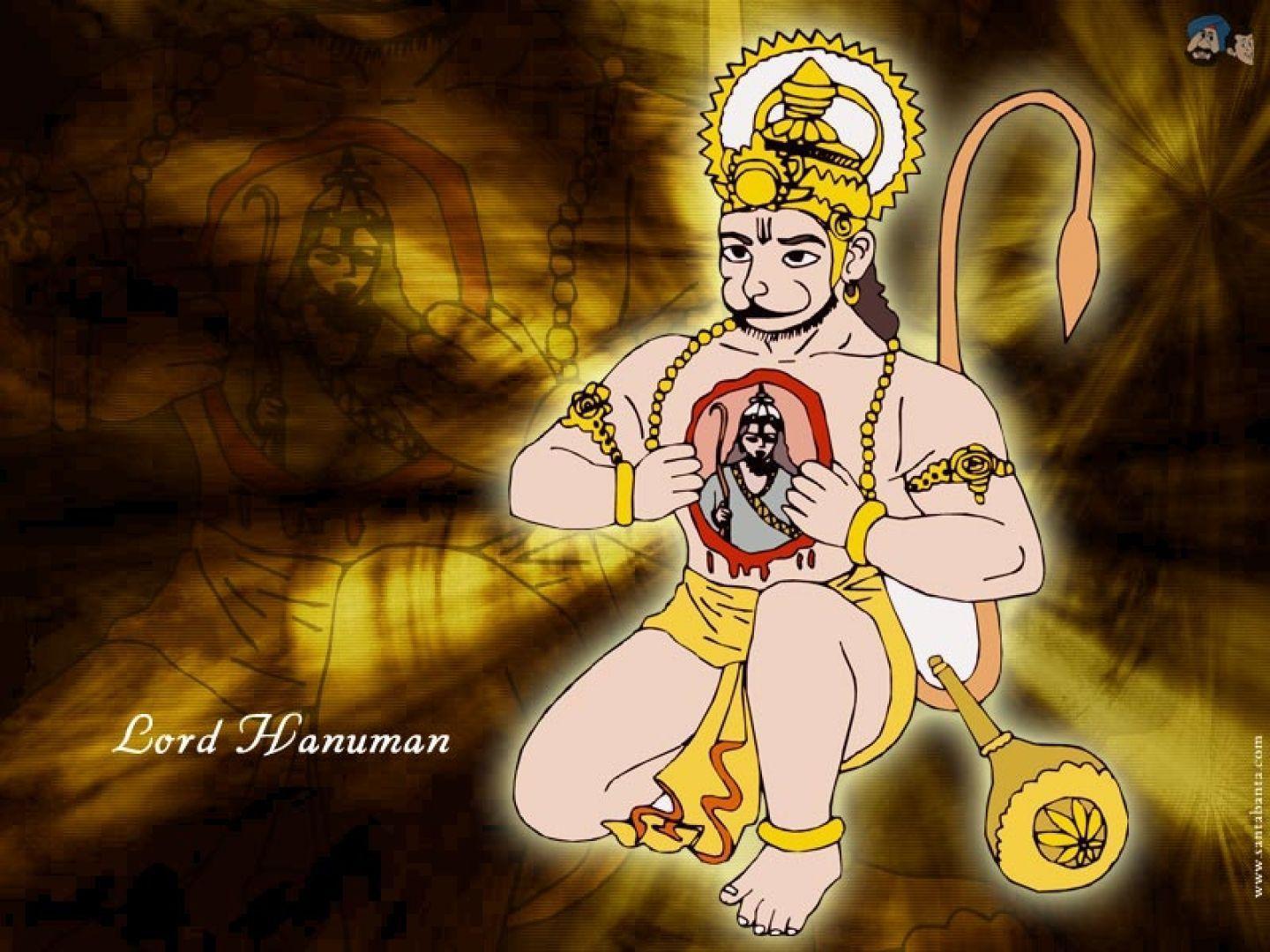 Wallpaper - HD Wallpaper 