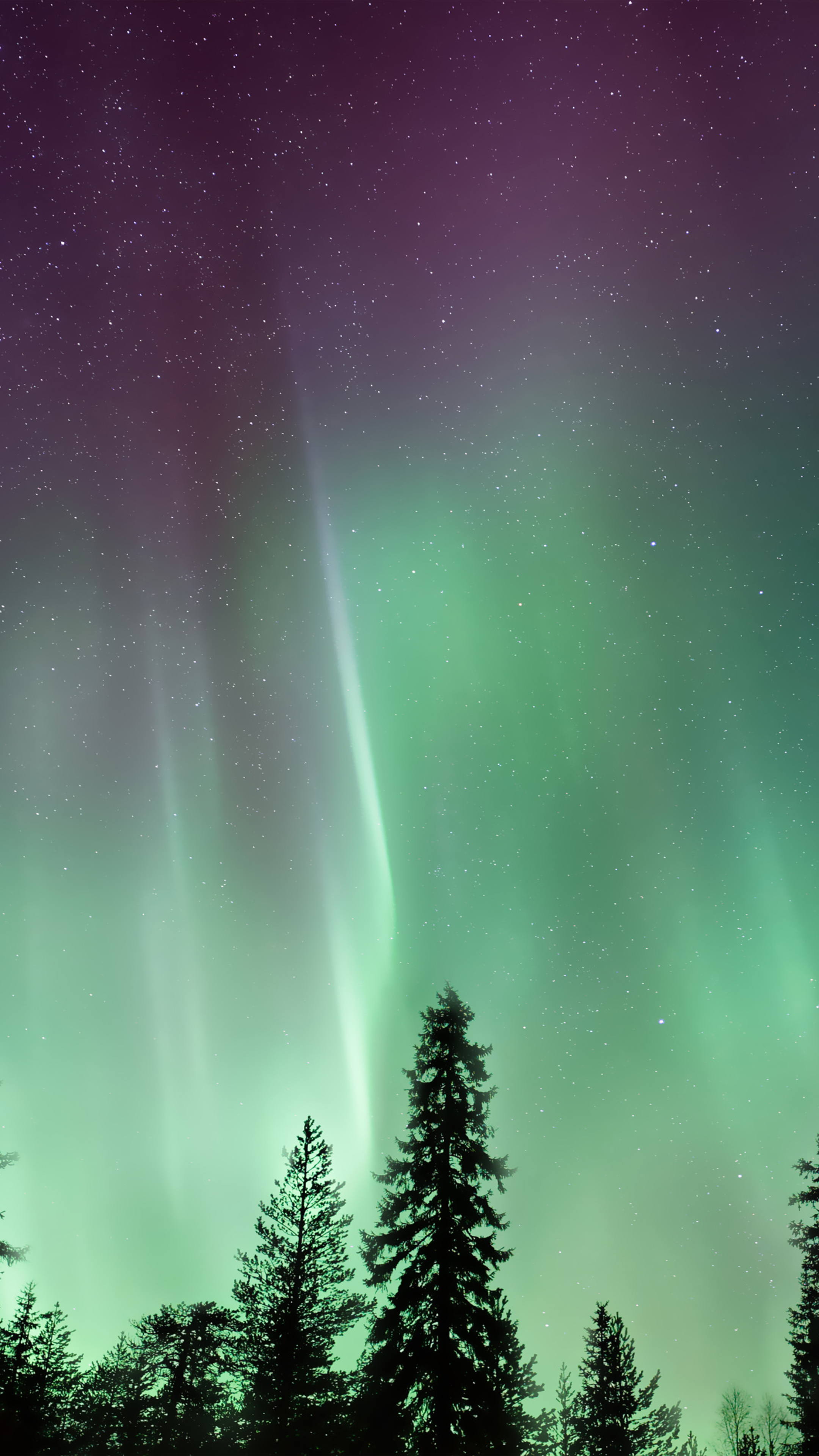 Northern Lights Aurora Wallpaper 4k - HD Wallpaper 