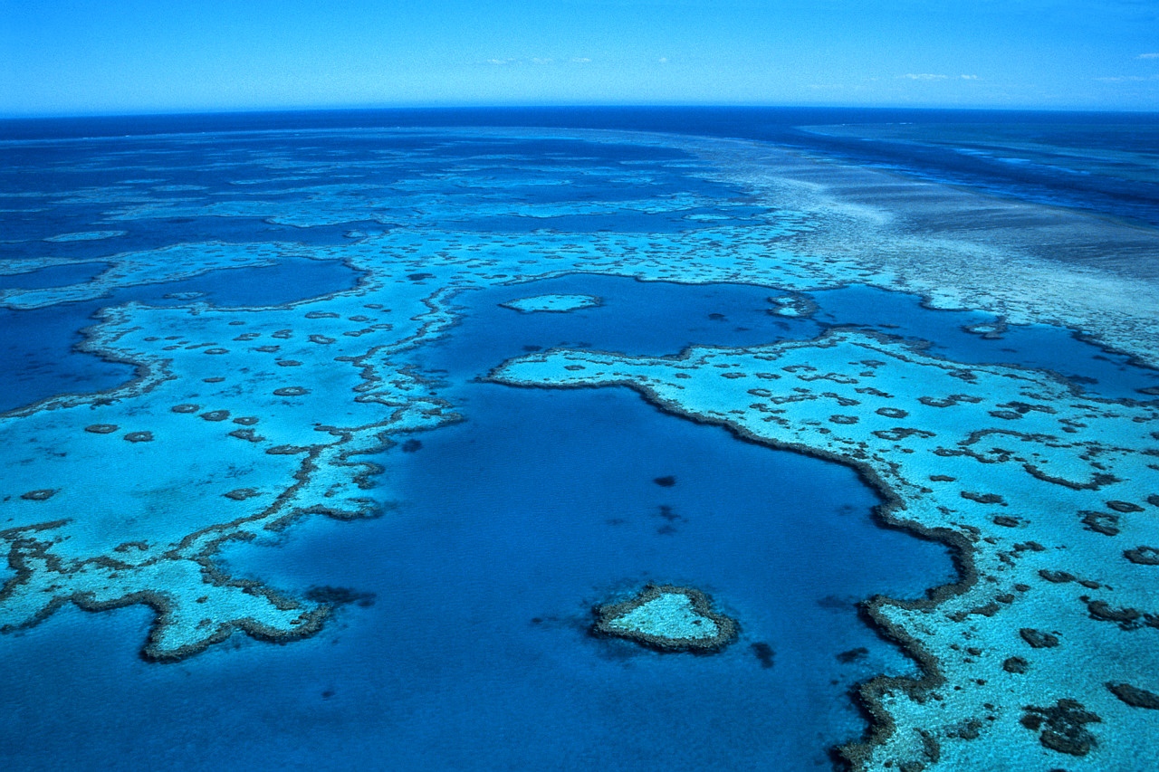 Great Barrier Reef Cairns Hd - HD Wallpaper 