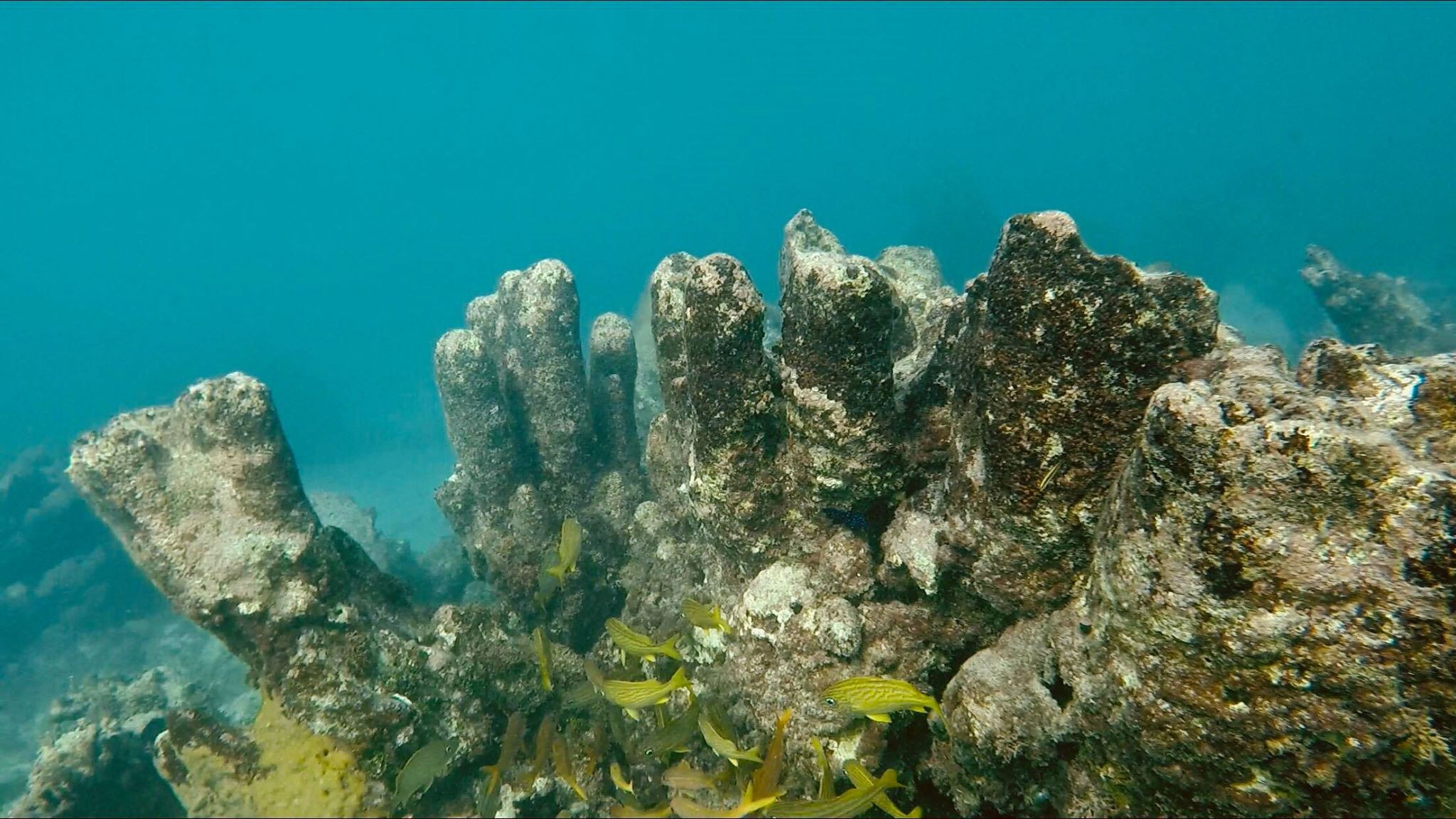 Underwater - HD Wallpaper 