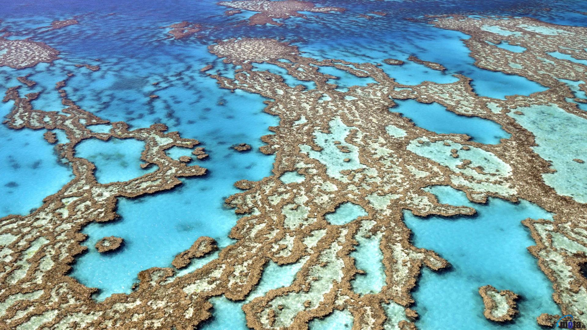 Great Barrier Reef 2050 - HD Wallpaper 