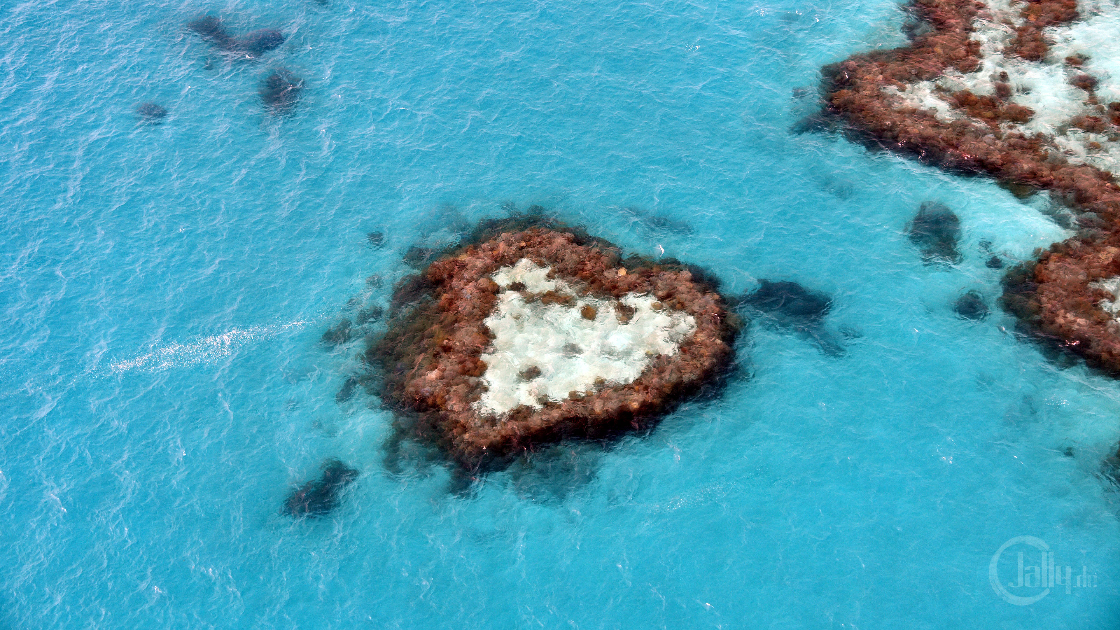 Natur Des Great Barrier Reef - HD Wallpaper 