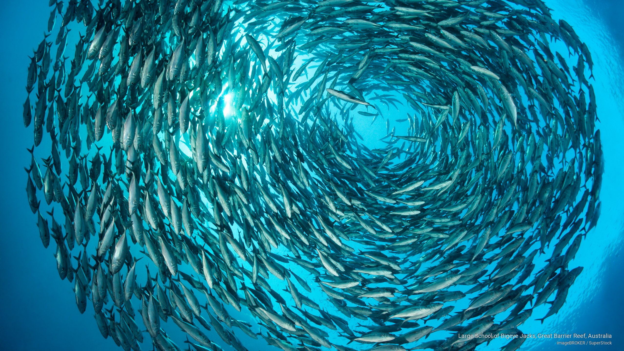 Large Hd Wallpapers Ocean - HD Wallpaper 