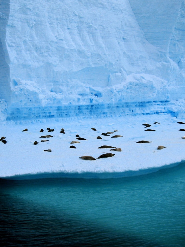 North Pole Hd - HD Wallpaper 