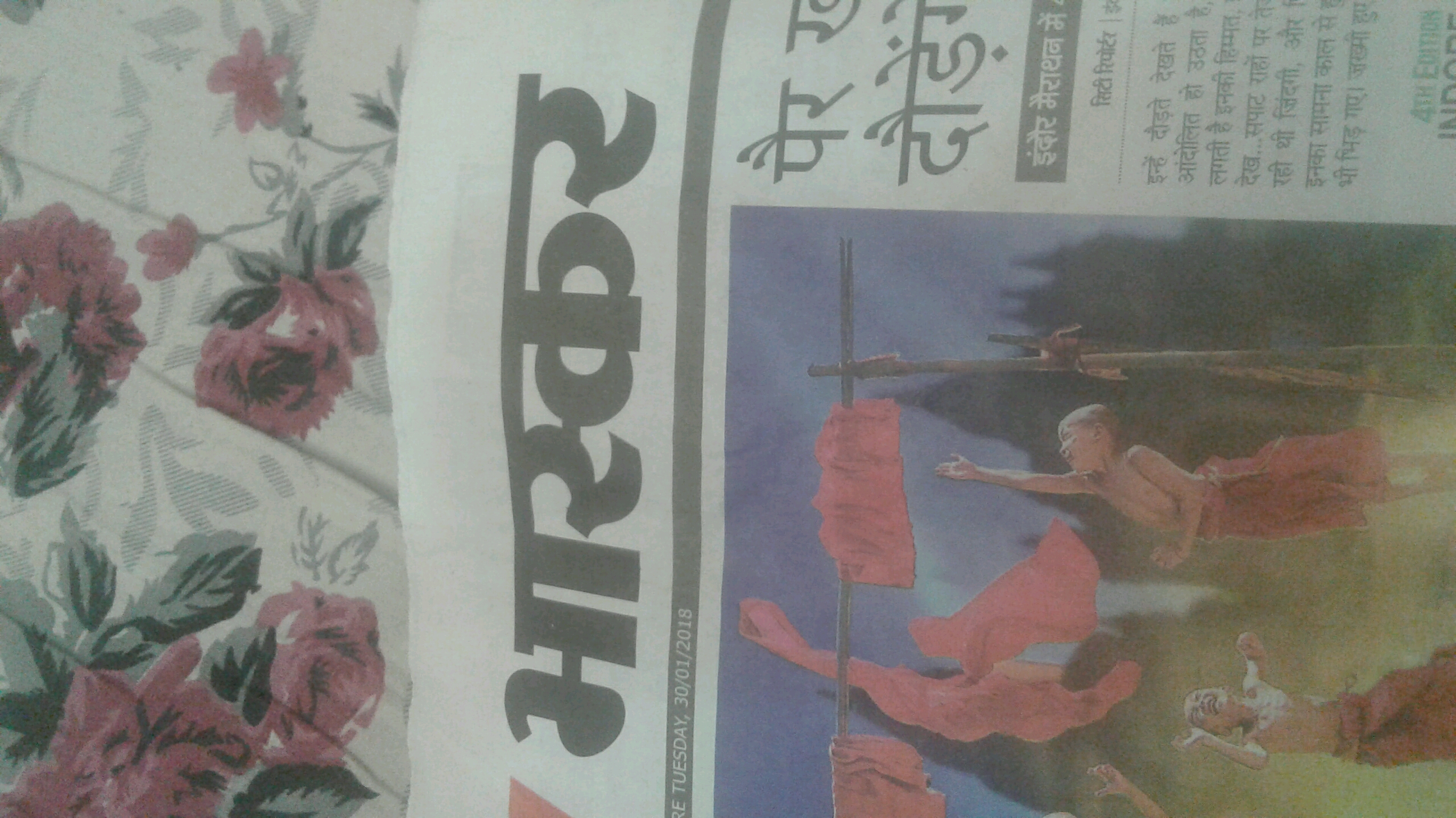 Garden Roses - HD Wallpaper 